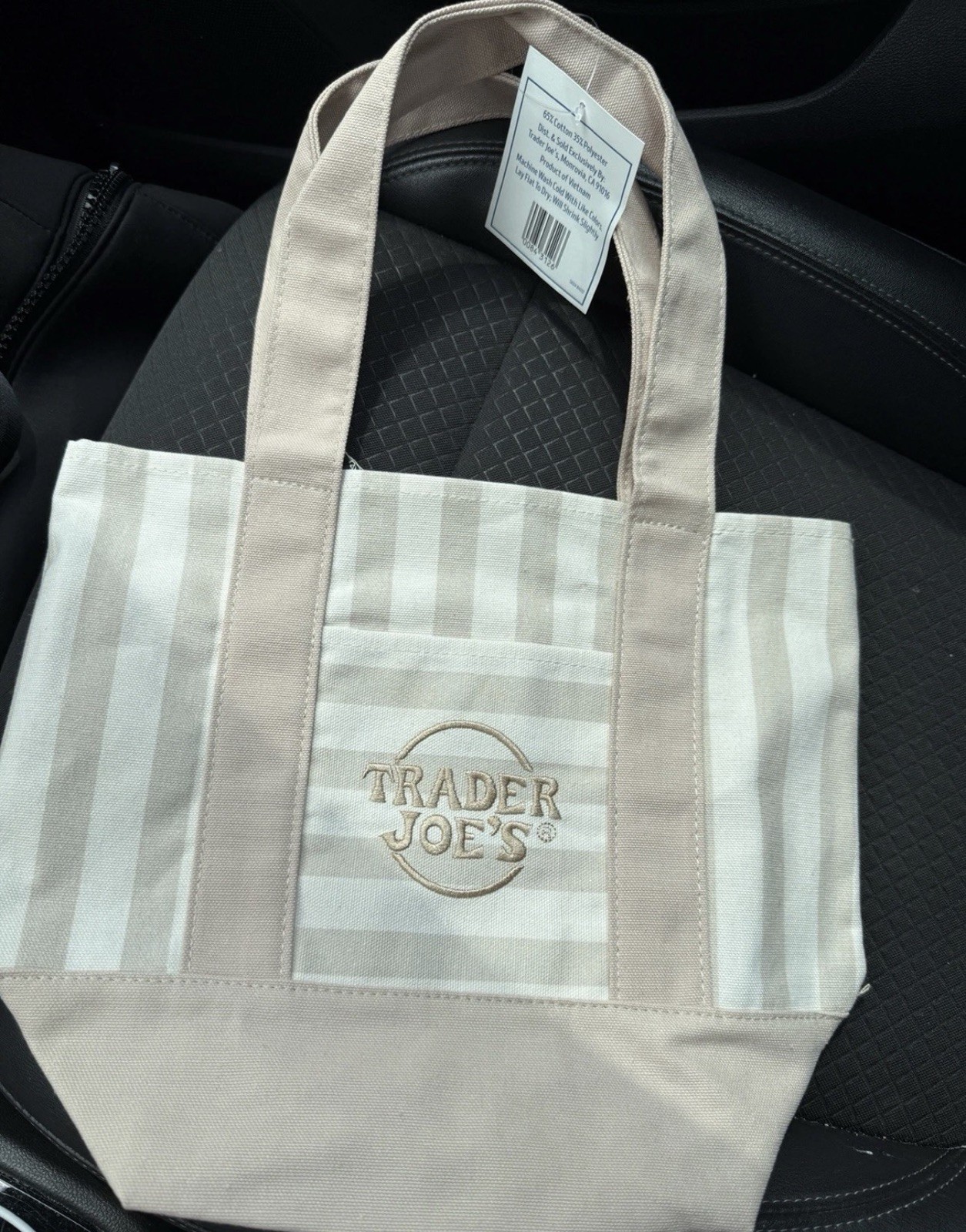 Trader Joe’s Striped Mini Canvas Tote Bag Reusable Multicolor 10x10x6 in