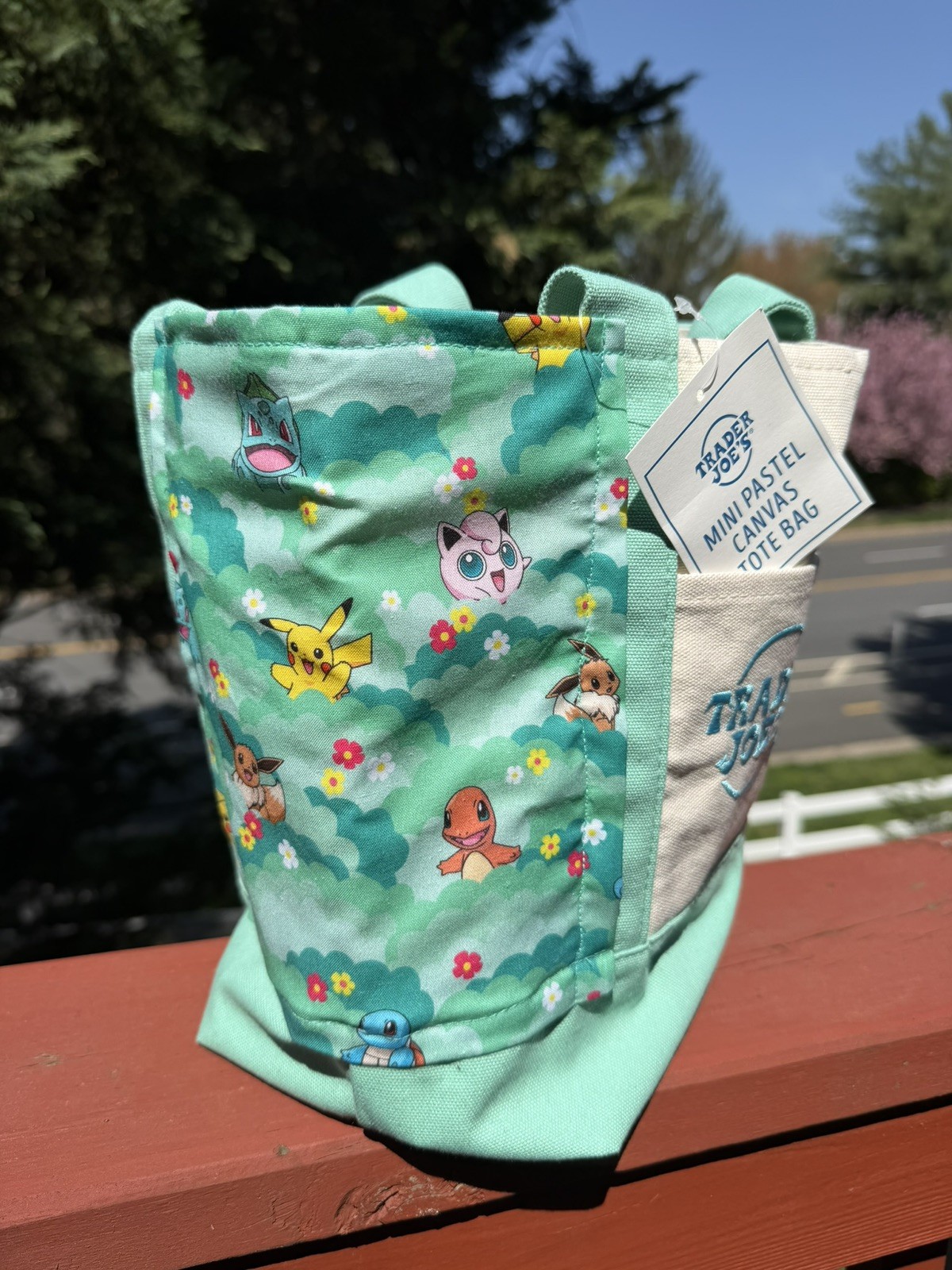 Pokémon Trader Joe’s Mini Canvas Tote -Teal, Spring 2026 – Handmade w/tag