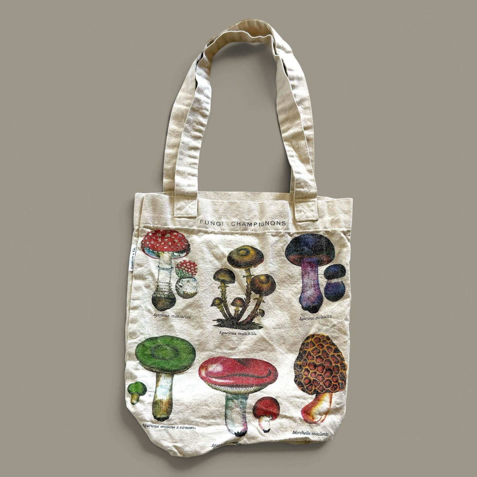 Cavallini & Co. Mushroom Print Canvas Tote Bag, Beige/Multicolor Y2K Indie