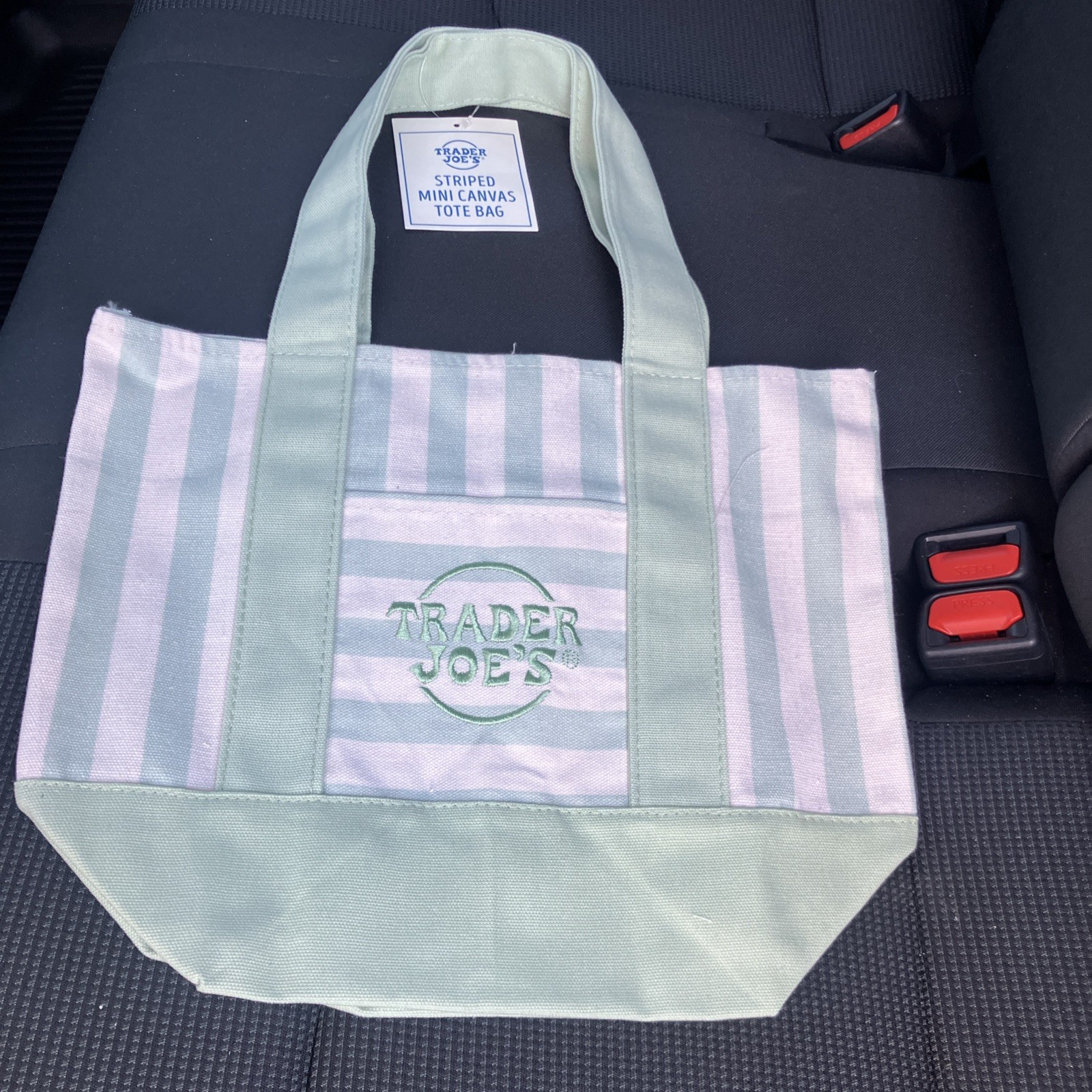 TRADER JOE’S 2026 Mini Stripe Canvas Tote Bag GREEN stripes. SHIP NEXT DAY