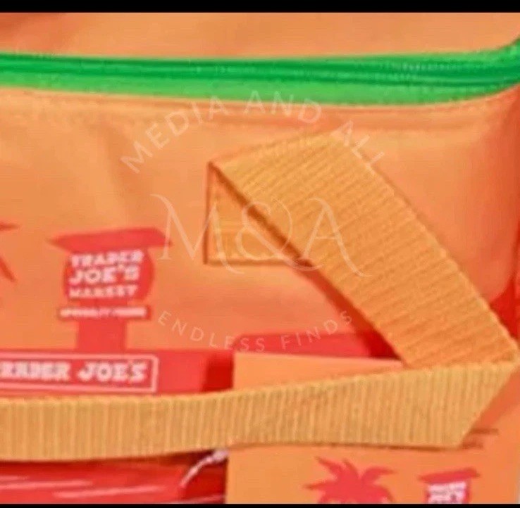 Trader Joes 2026 Mini Insulated Tote Summer Fun Lunch Bag Sold Separately