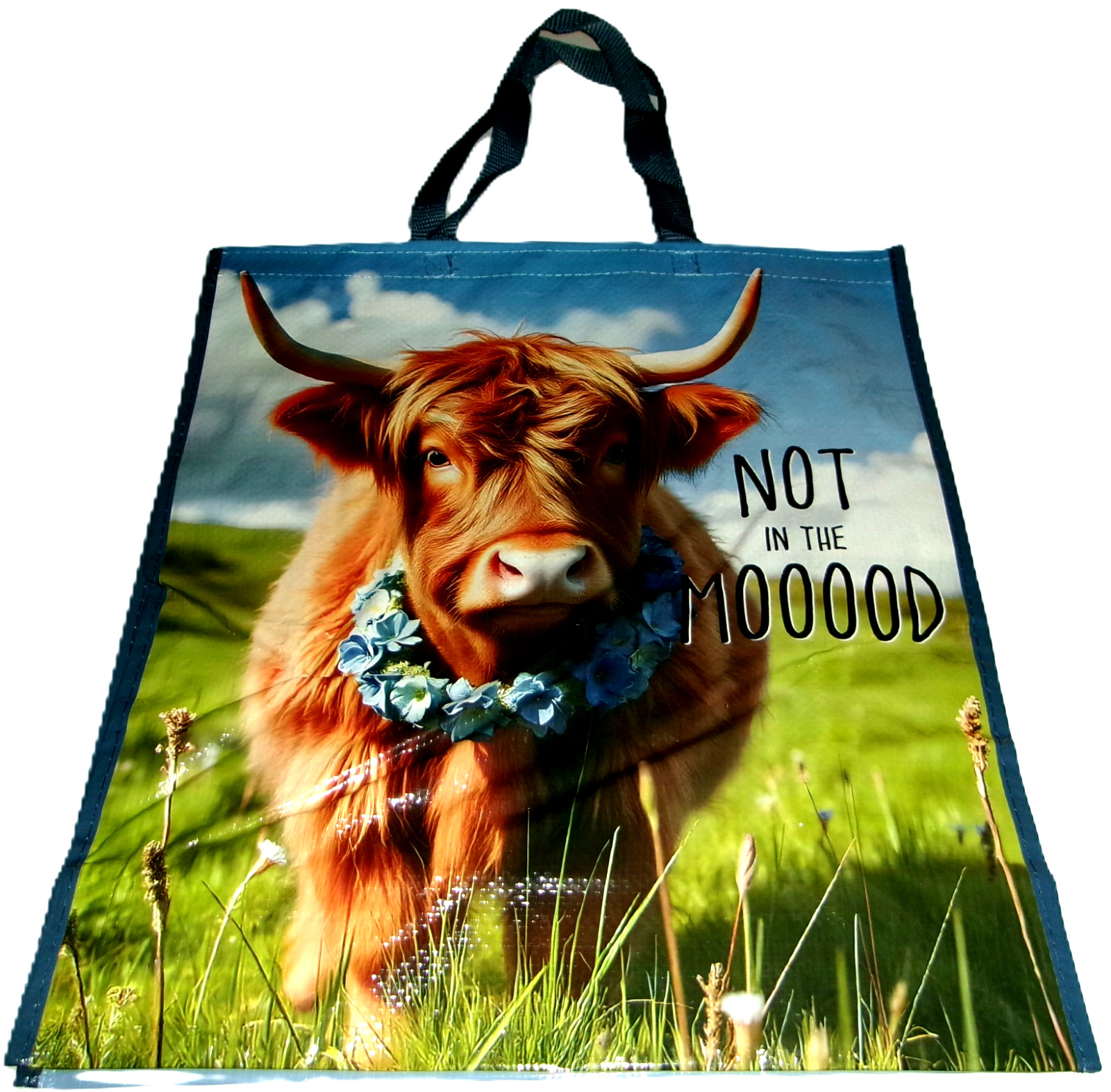 Reusable Tote Bag~19″ X17″X 7″~NOT IN THE MOOOOD