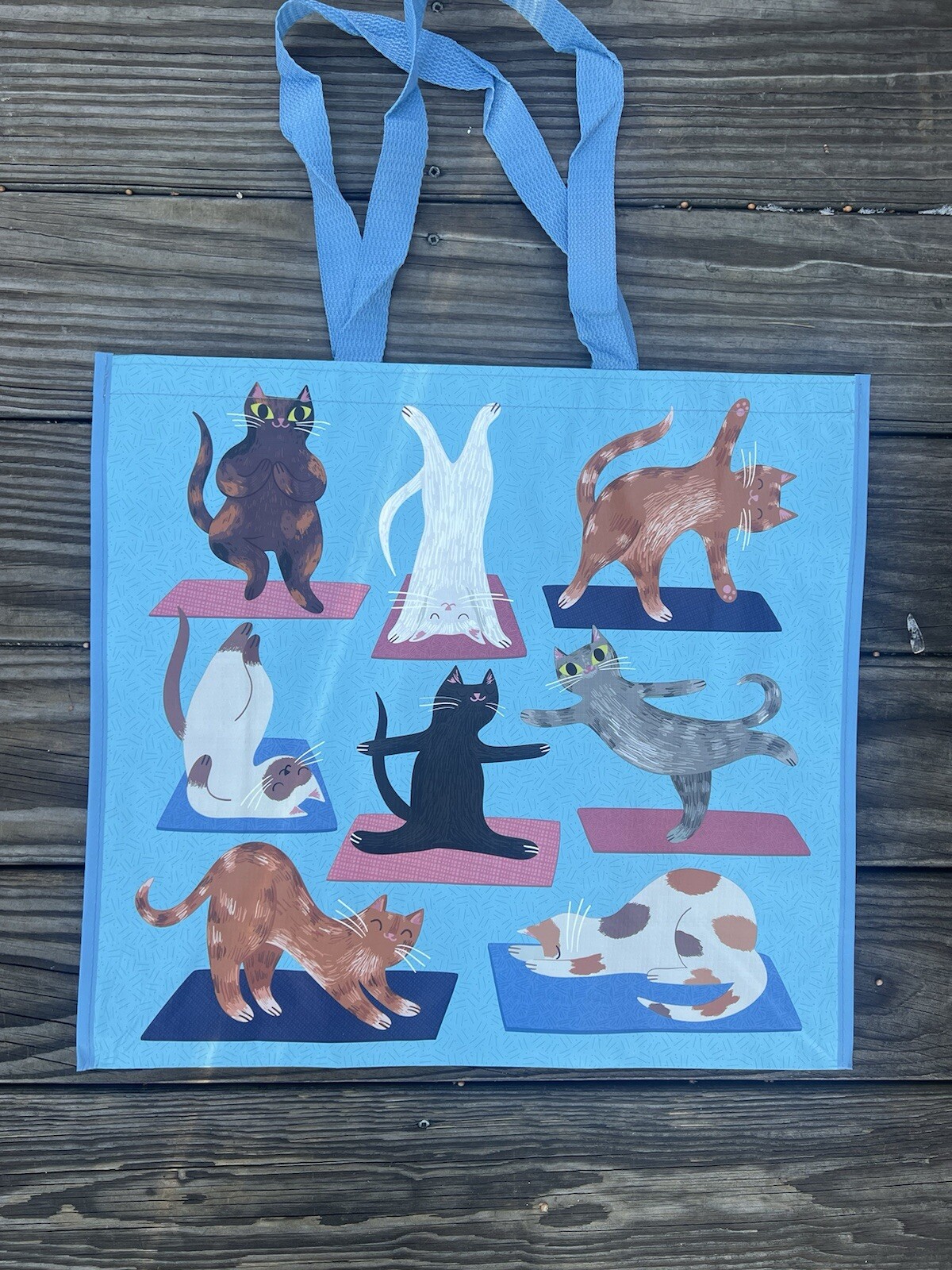 NEW TJX Shopping Bag HAPPY 😊 DANCING CATS Reusable Tote Bag