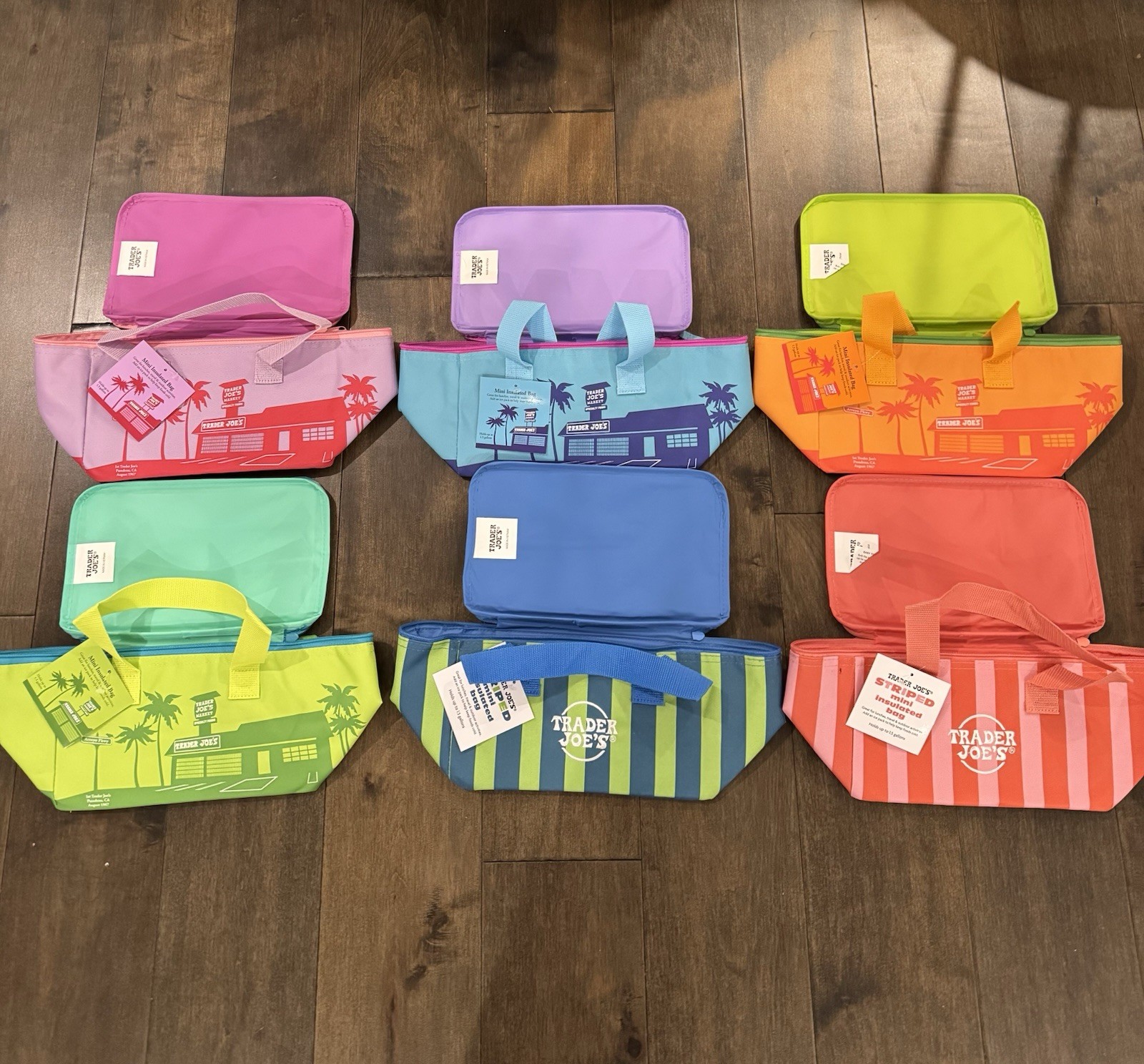 Trader Joe’s 2026 Summer Mini Insulated Tote Bags Set of 6 NWT NWT Authentic