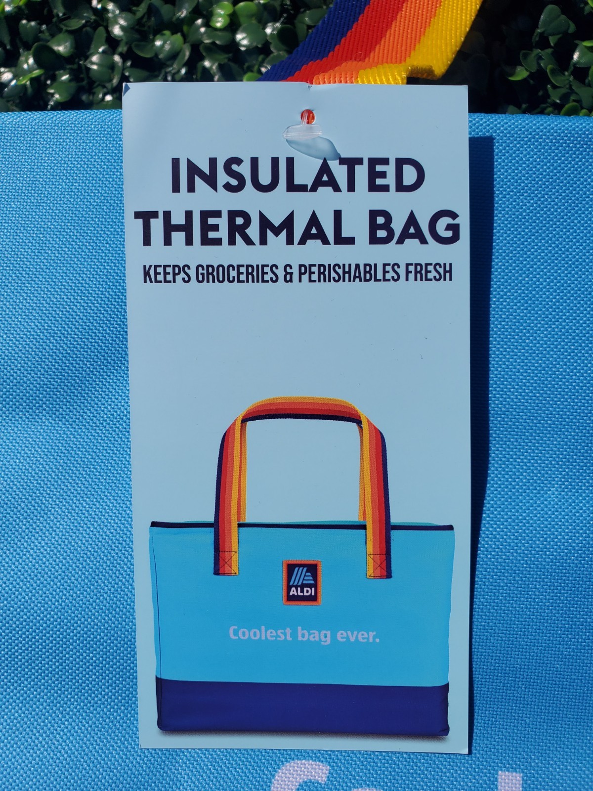 Aldi Large Insulated Freezer Cooler Bag Market Shopper🔵🔴🟡 2026 NEW