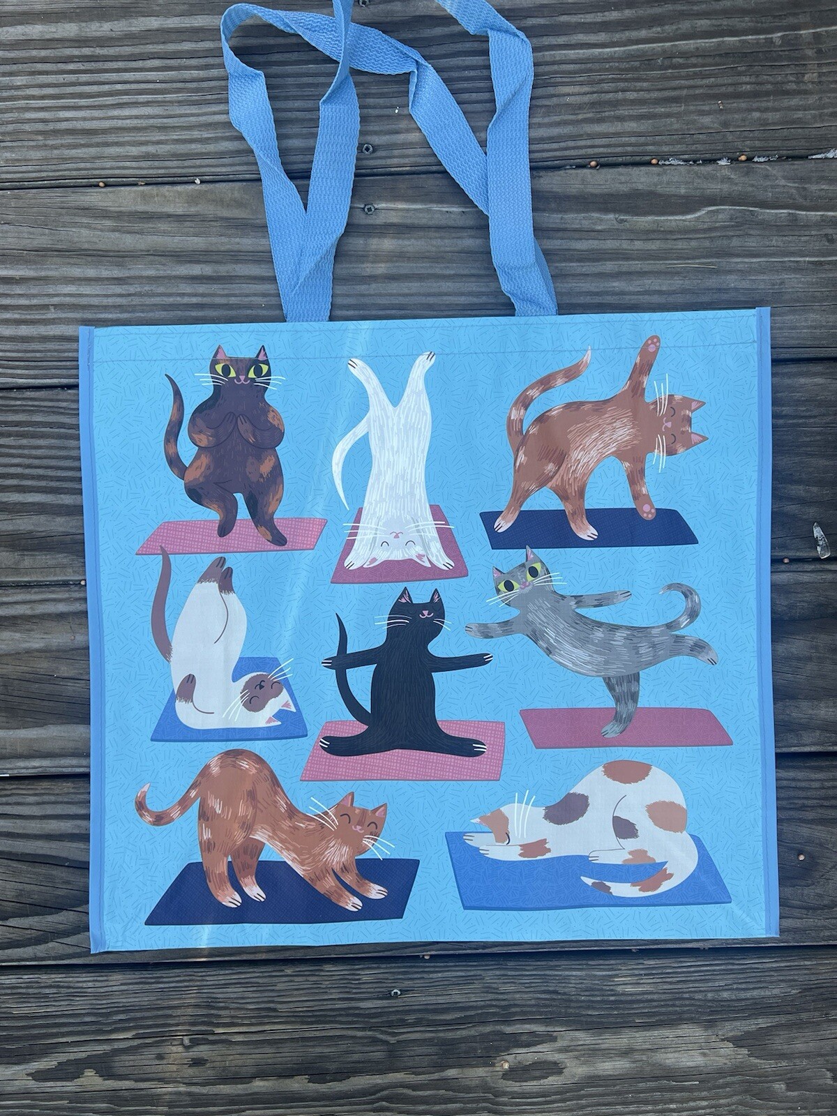 NEW TJX Shopping Bag HAPPY 😊 DANCING CATS Reusable Tote Bag