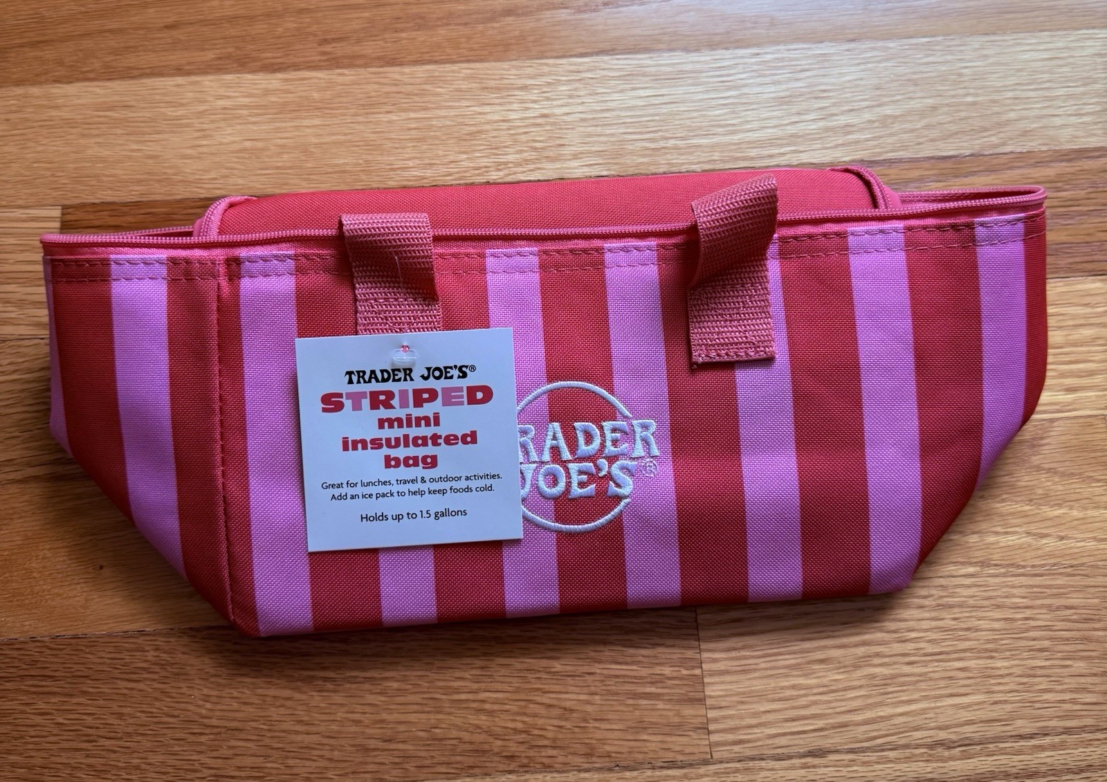 Trader Joe’s New Summer STRIPEs Mini Insulated Lunch Bag Set Of 2, NWT