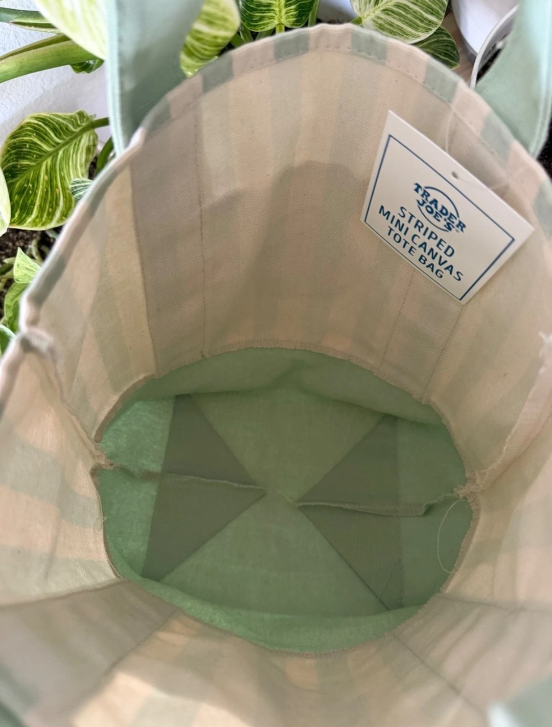 Ships Today | Trader Joe’s Mini Tote Bag Green/White Stripe Canvas Summer 2026.