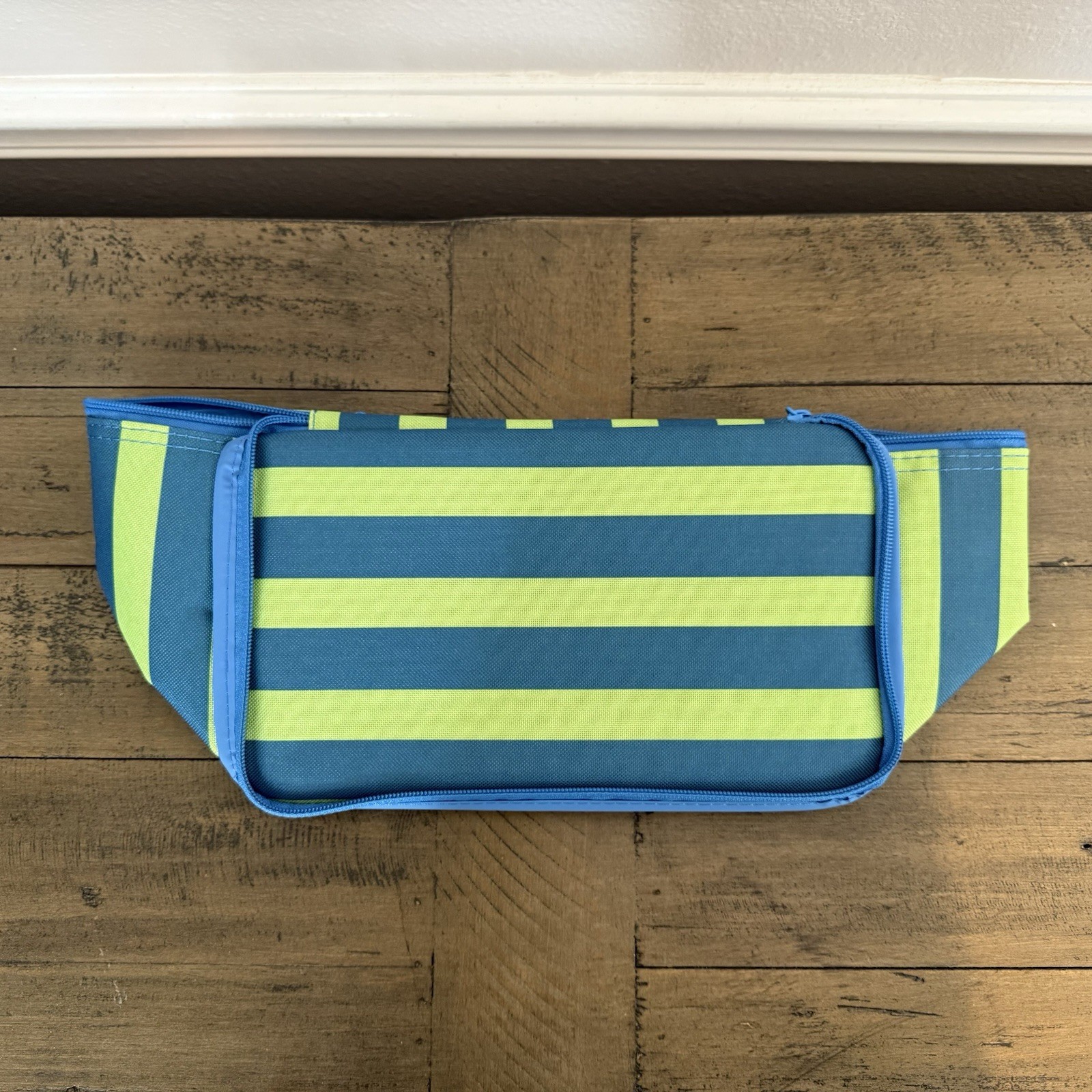 Trader Joe’s 2026 Mini Insulated Lunch Bag Cooler Green Blue Stripe SHIPS TODAY!