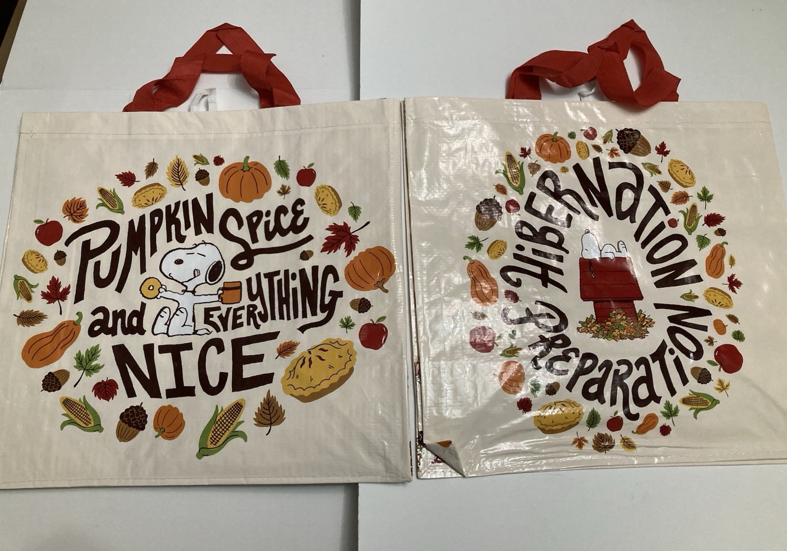 Tesco Fall Snoopy Tote Bag Pumpkin Spice Hibernation Pie Acorn Leaf 2025 Schultz