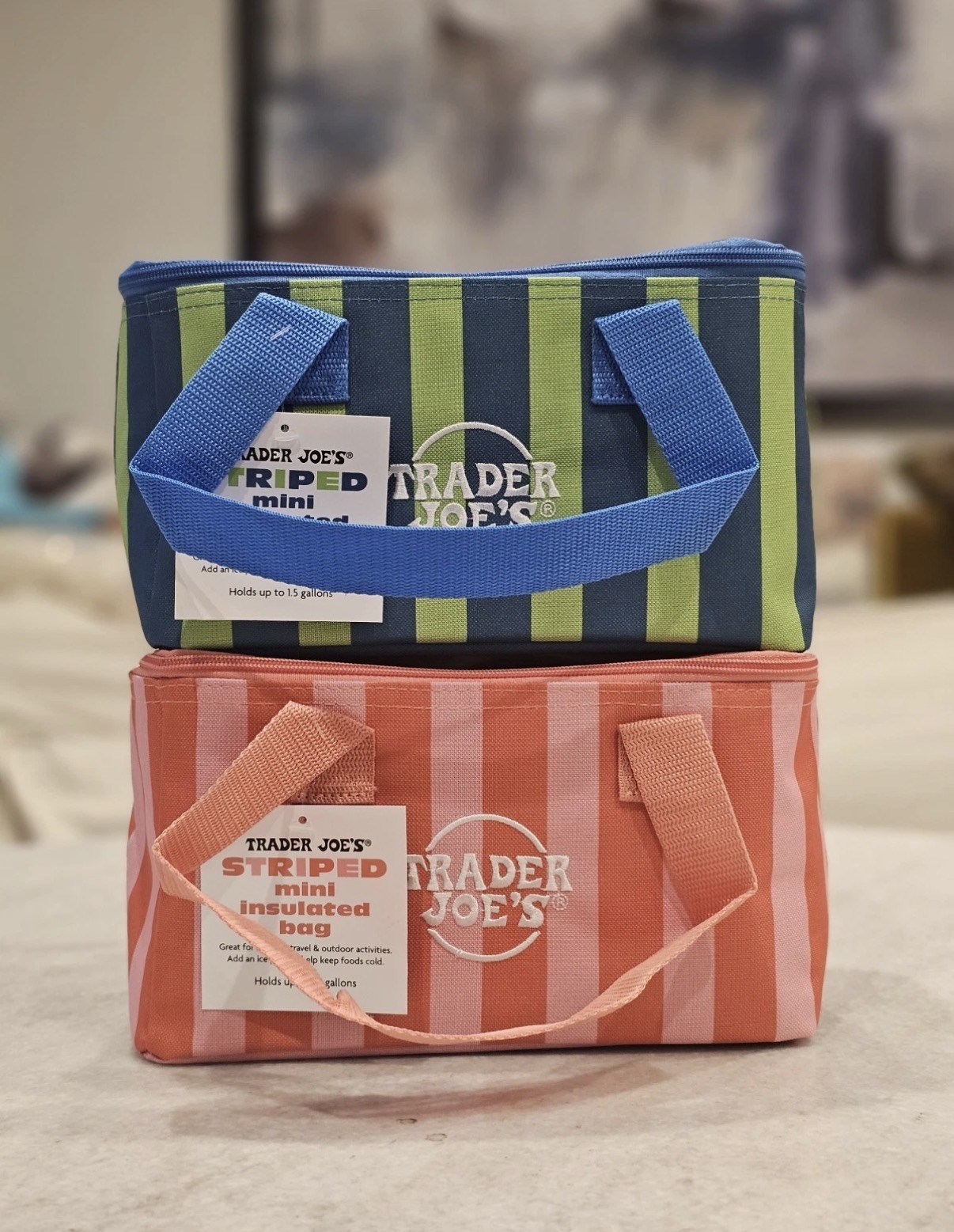 (2) Striped Trader Joe’s Mini Insulated Bag 2026, Blue/Green & Red/Pink