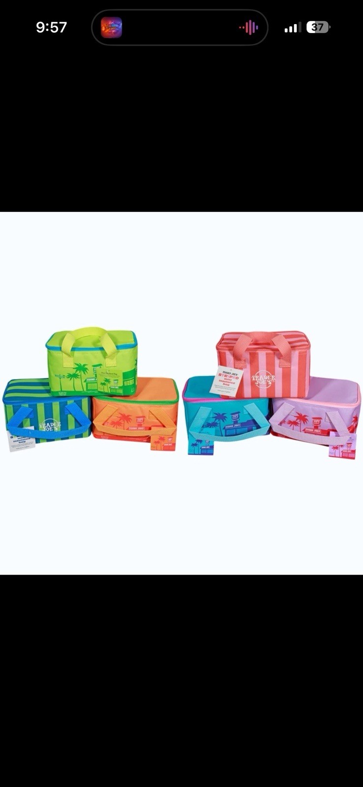 Trader Joes 2026 Mini Insulated Tote Summer Fun Lunch Bag Sold Separately