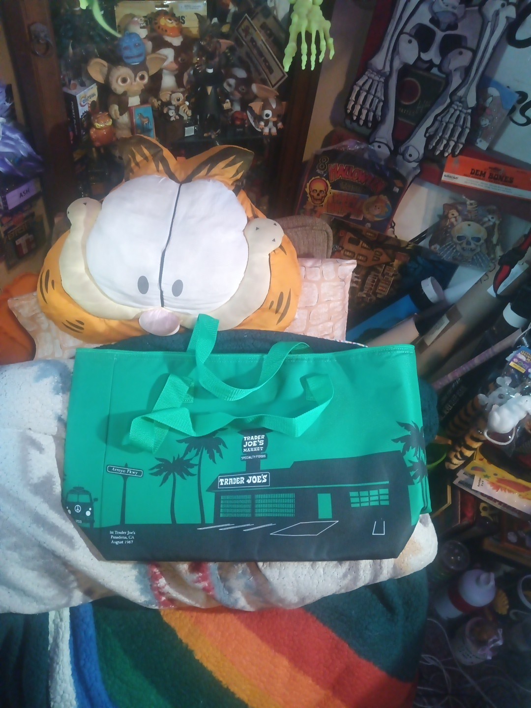 Trader Joe’s Green Edition Large Reusable Insulated Shopping Bag 8 Gallon
