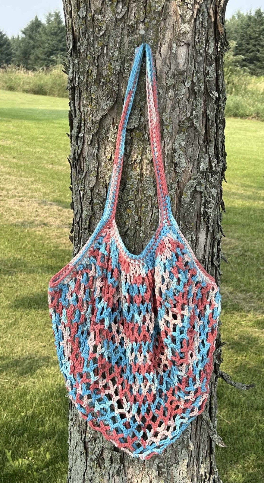 Cotton Handmade Crocheted Market Bag (blues & pinks)