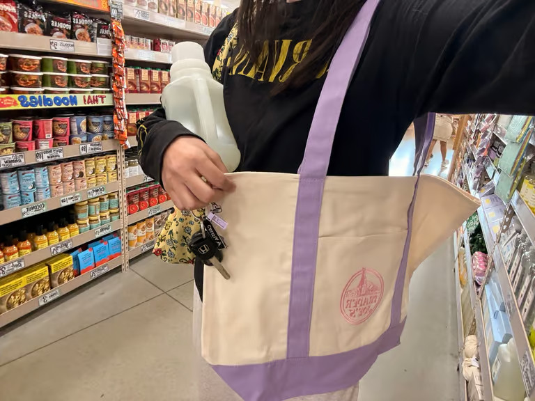 2026 Trader Joe’s Large Authentic Pastel Canvas Reusable Tote Bag Lavender