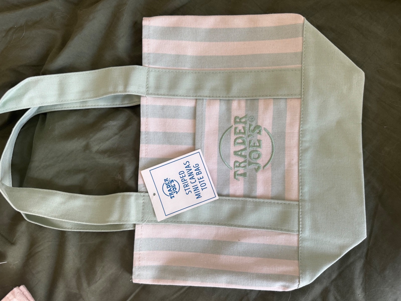 Trader Joe’s Striped Mini Canvas Tote Bag Seafoam Green 2026 Limited Edition