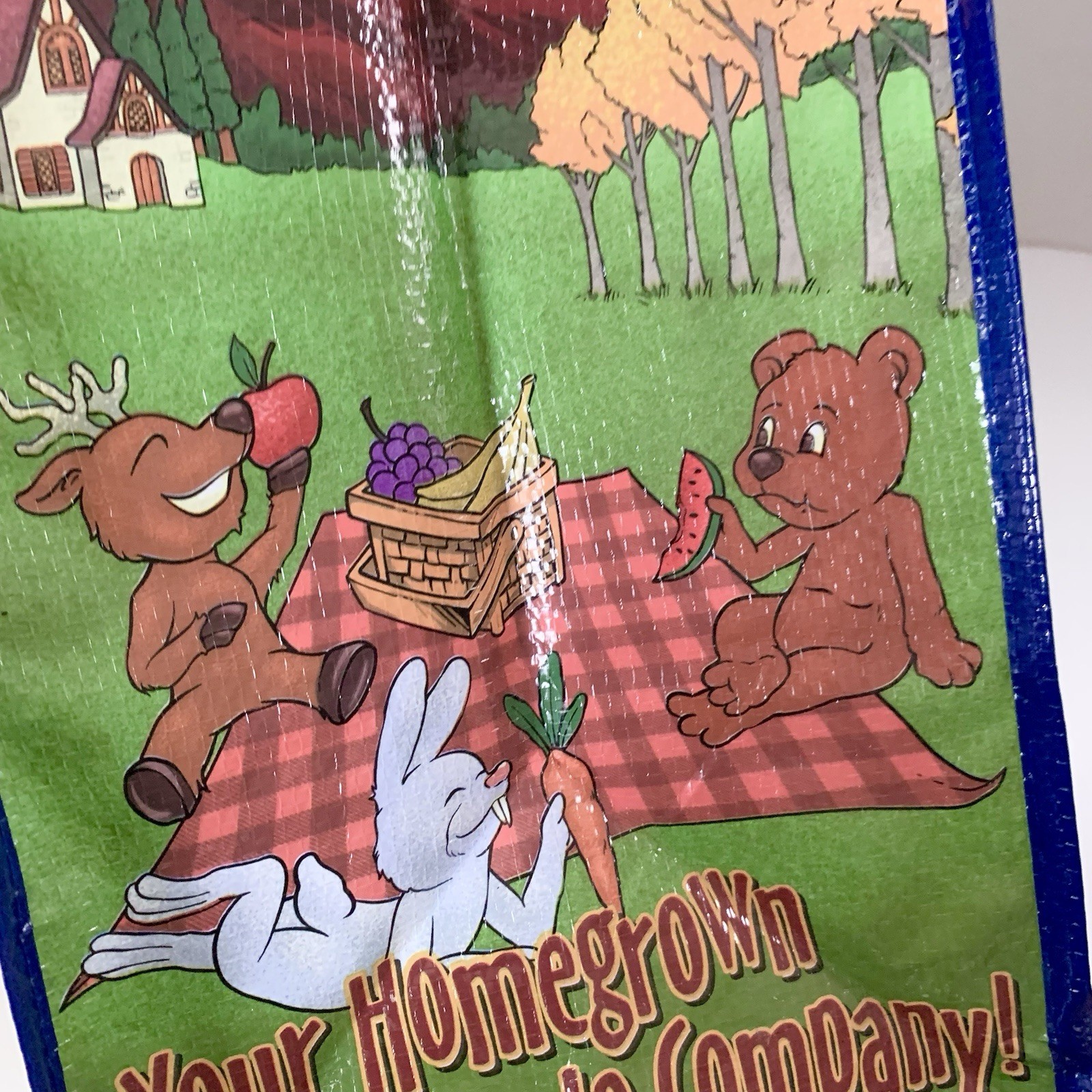 Natural Grocers 4 seasons graphic Reusable Tote Heavy Duty Holds 50 lbs colorado