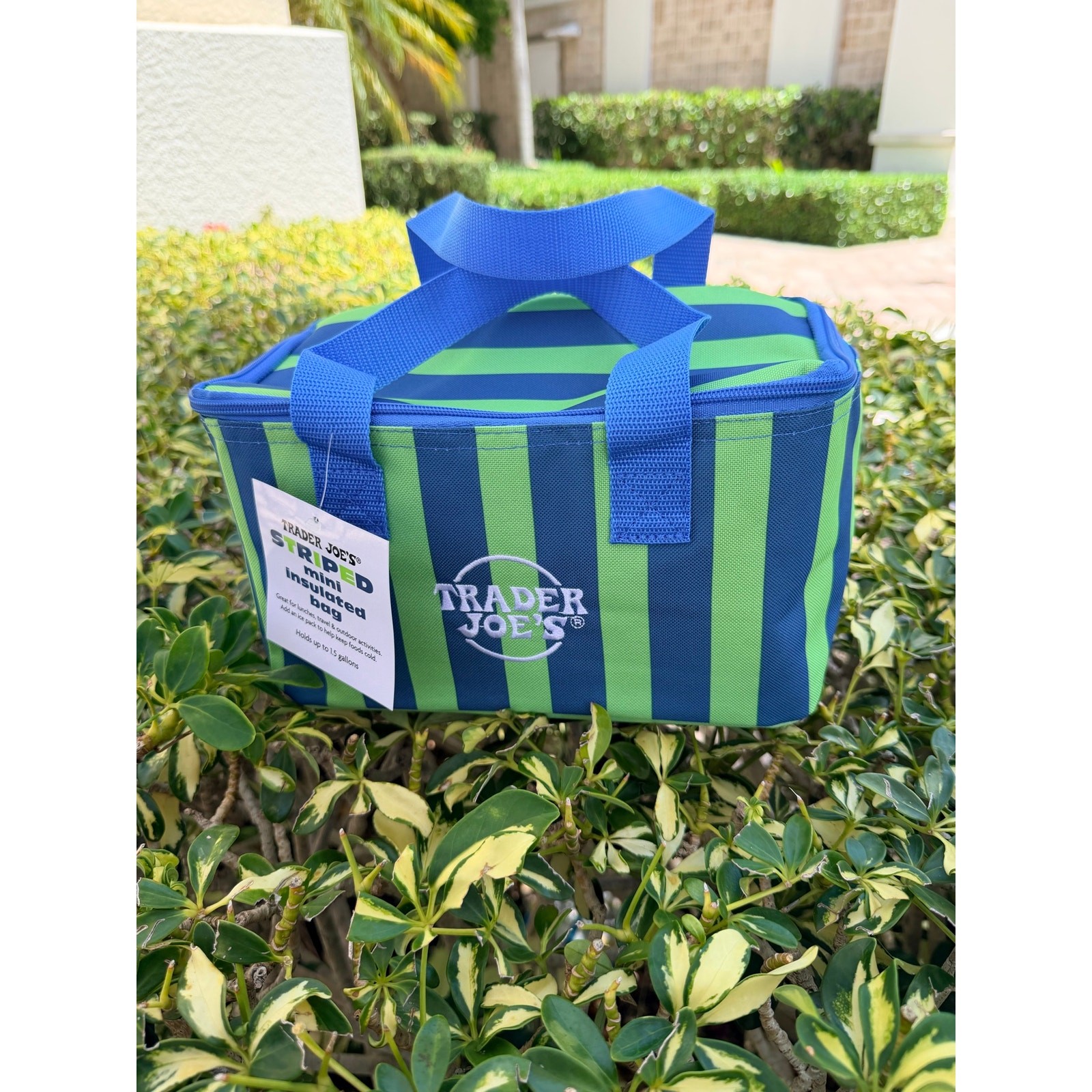 Trader Joe 2026 mini insulated bags New Summer Colors Blue and Green Stripes
