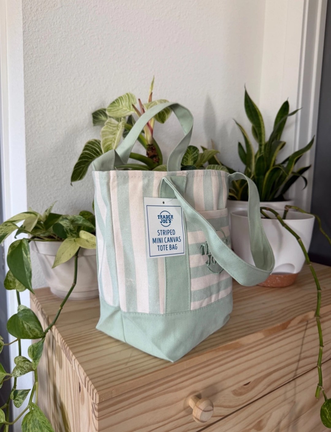 Ships Today | Trader Joe’s Mini Tote Bag Green/White Stripe Canvas Summer 2026.
