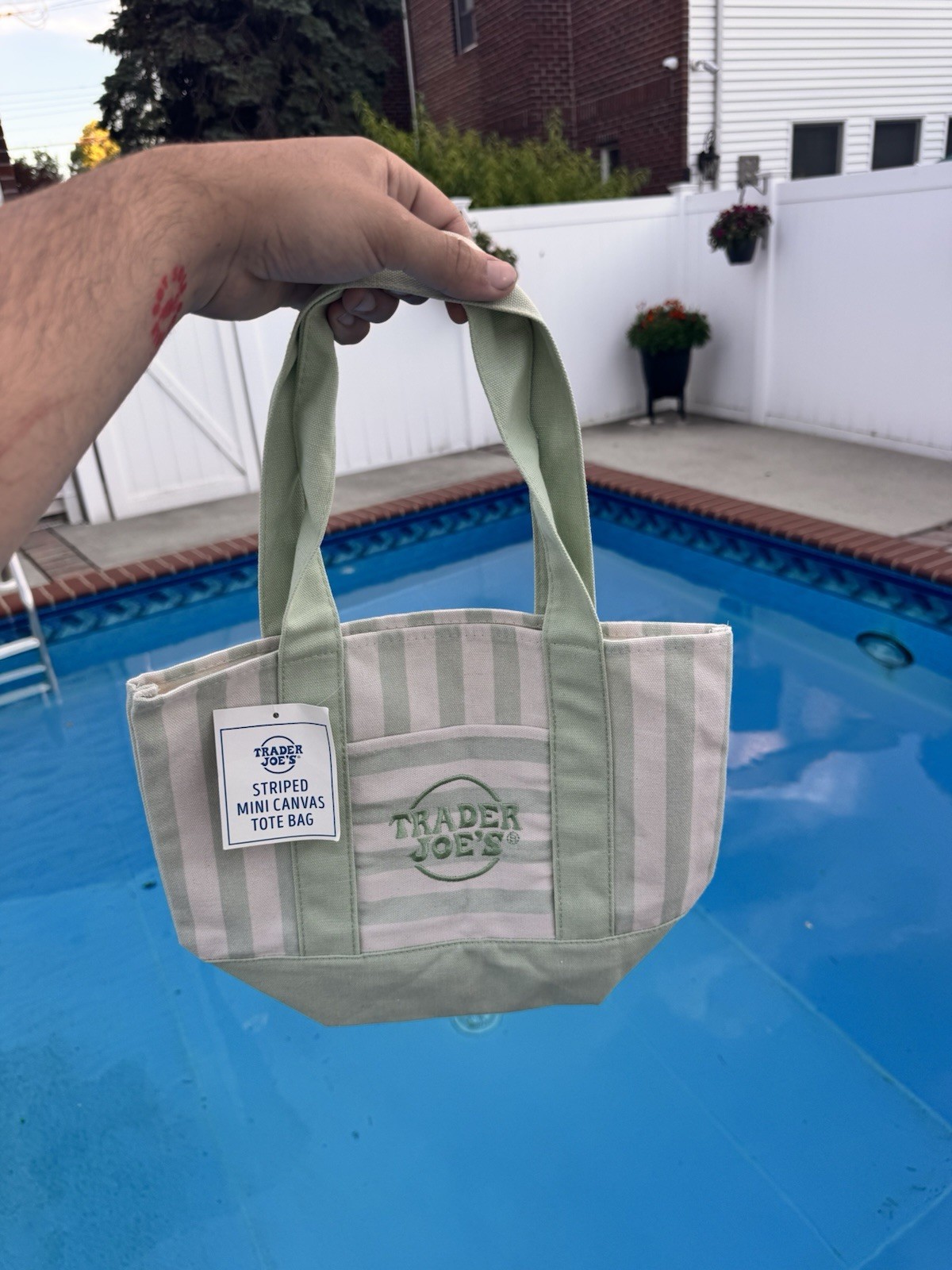 Trader Joe’s Striped Mini Canvas Tote Bag Mint Green Canvas New With Tag