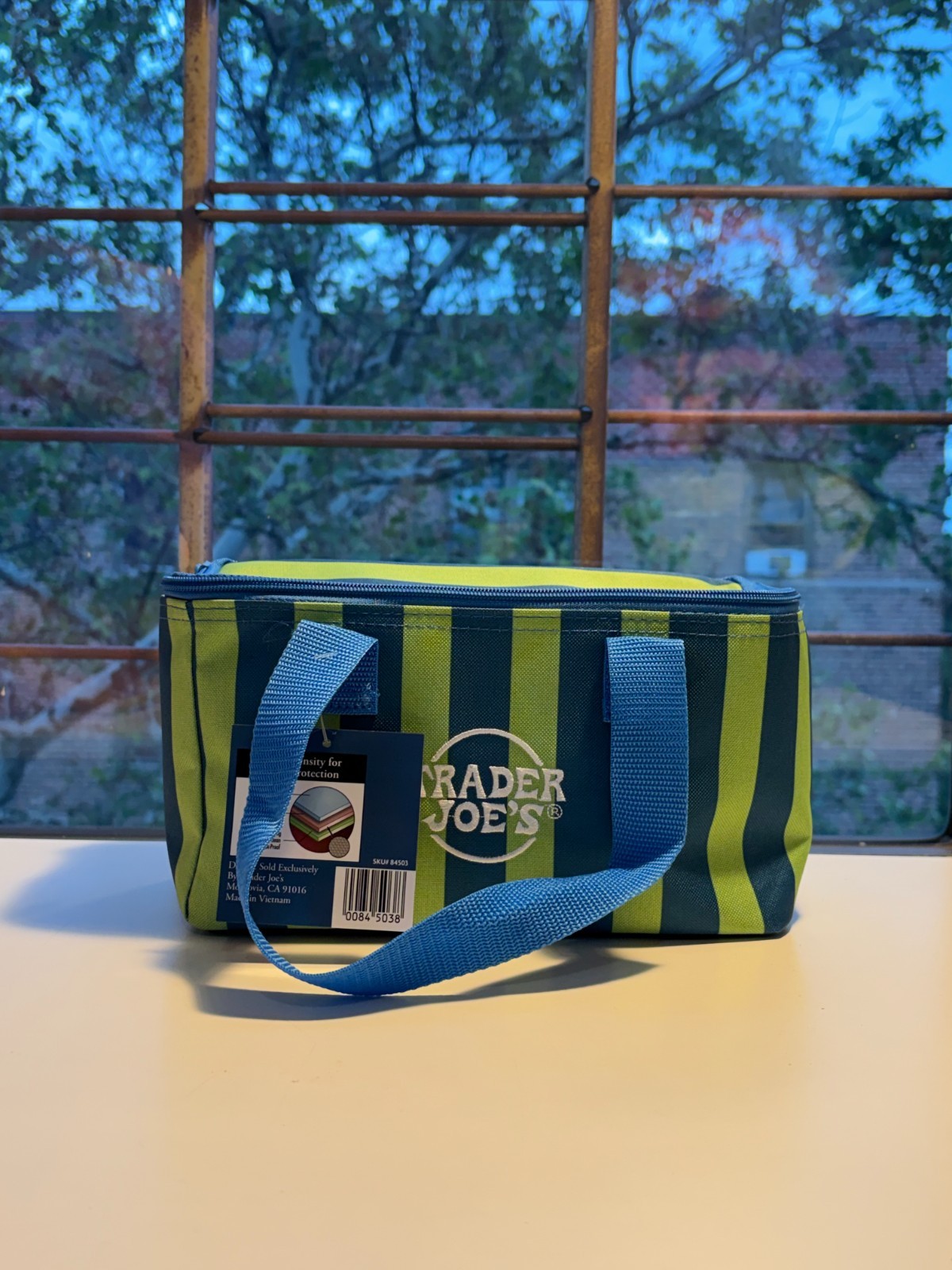 Trader Joe’s 2026 Insulated Tote Bags (1) SUMMER & VALENTINES DAY AVAILABLE -NWT