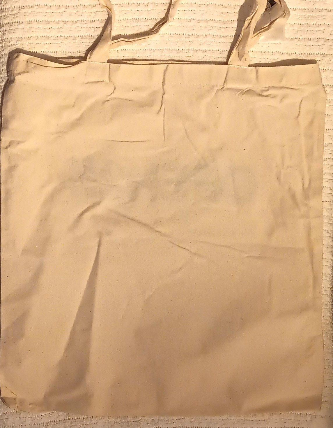 Ebay Open 2025 Eco Friendly Reusable Tote Beige 14″Wx16″L Handle & Souvenir Pin
