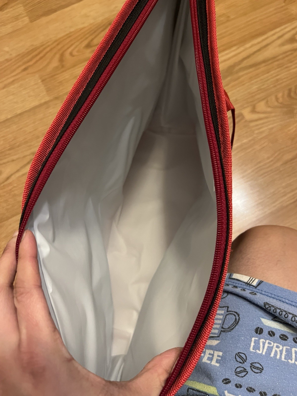 Trader Joe’s Insulated Canvas Reusable Shopping Bag Red Black Green Solid Plain