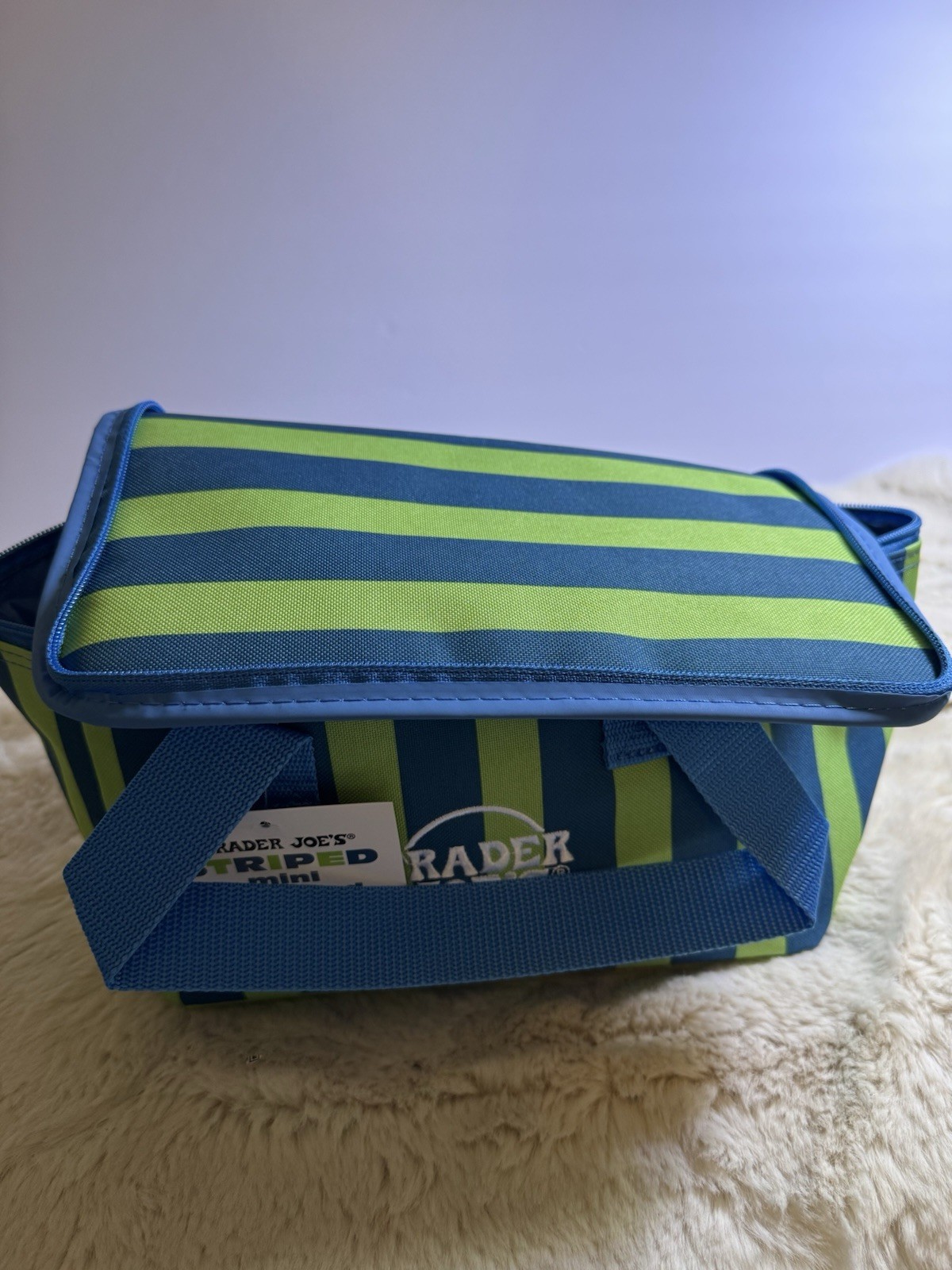 Trader Joe’s 2026 Mini Insulated Tote Blue Green Stripe Viral Summer