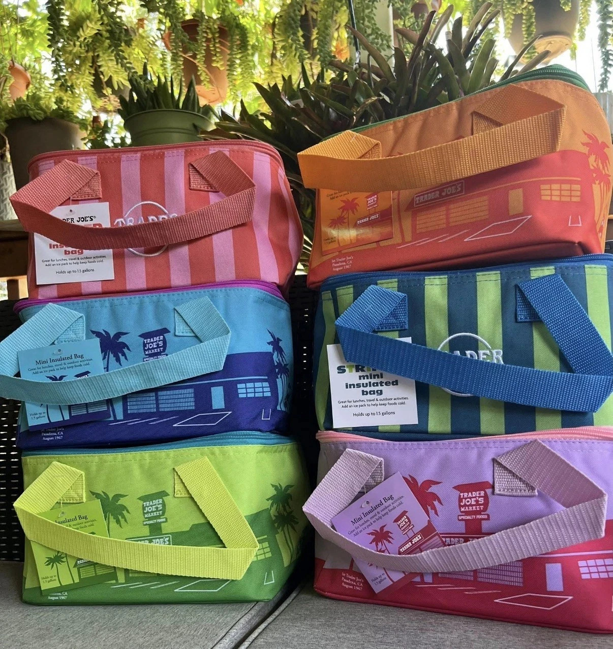 🔥2026 Trader Joe’s Limited Edition Mini Insulated Tote Summer (Set of 6/Single)