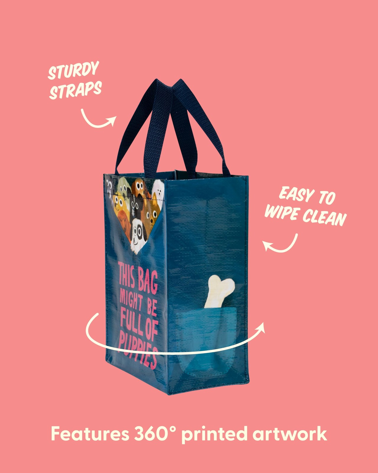 Handy Tote Reusable Lunch Sack Gift Bag Sturdy 10×8.5×4.5 Inch Washable