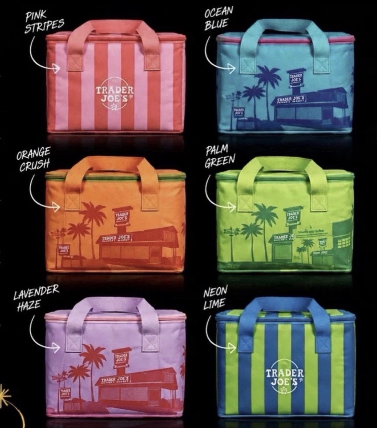 Trader Joe’s ☀️ Mini Insulated Lunch Tote Bag Summer 2026 FULL Set of 6 NEW