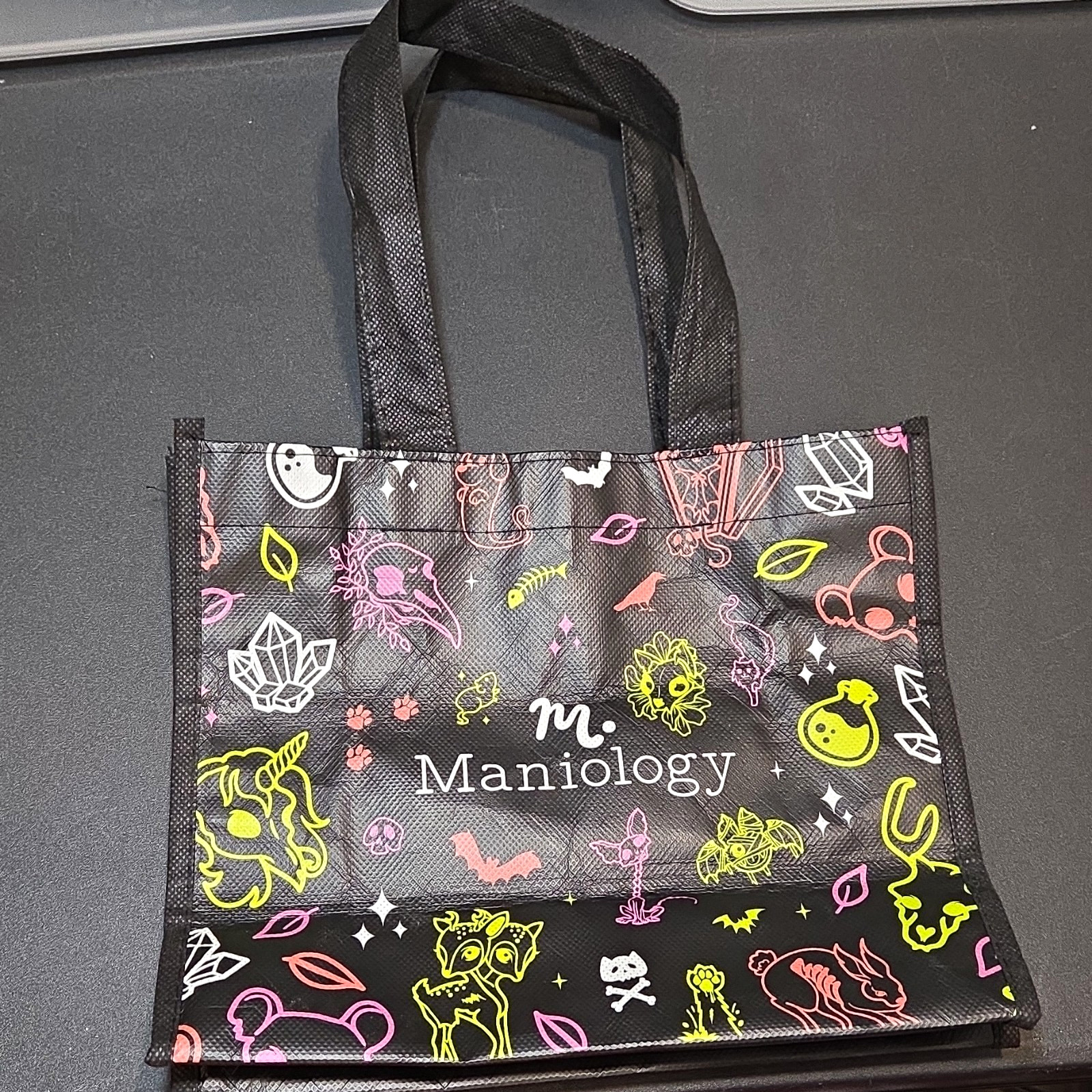 Maniology Pet Cemetery Tote 10x8x4 (+7in w/ Handles) Very Gently Used
