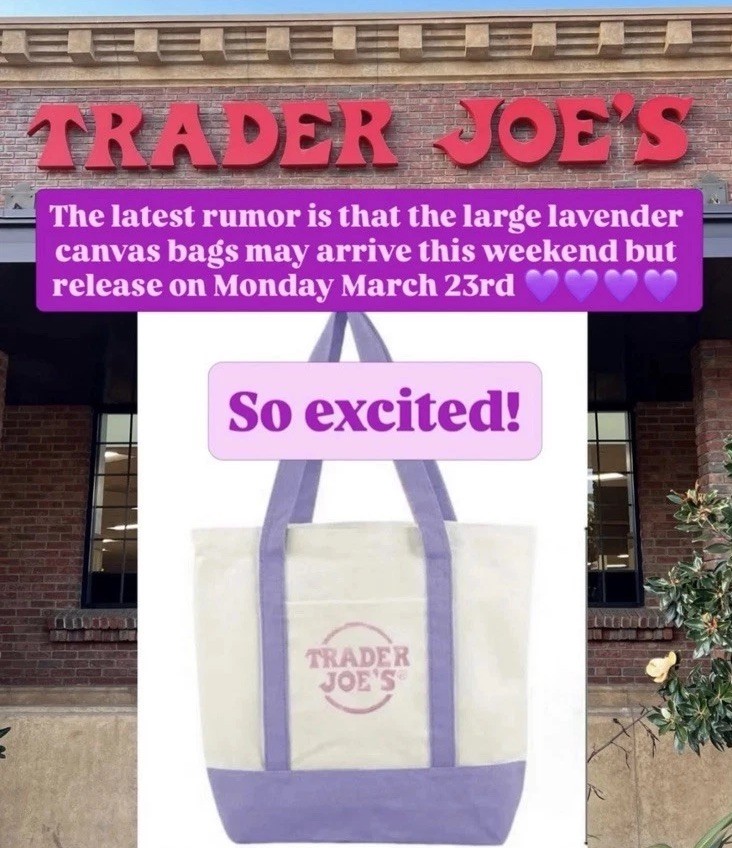 Trader Joe’s Large Lavender Purple Canvas Tote Bag + Mini Canvas Tote Bag 💜
