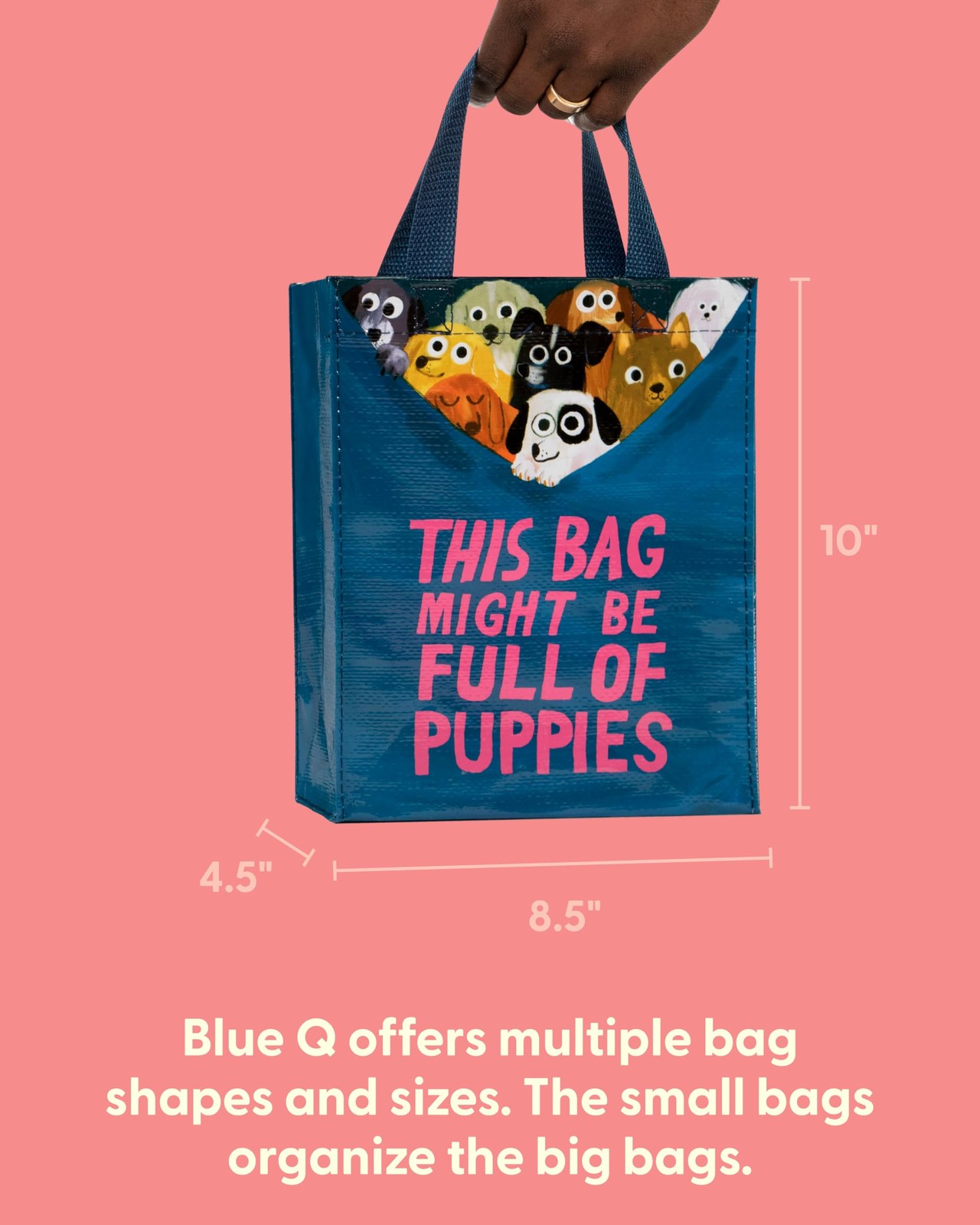 Handy Tote Reusable Lunch Sack Gift Bag Sturdy 10×8.5×4.5 Inch Washable