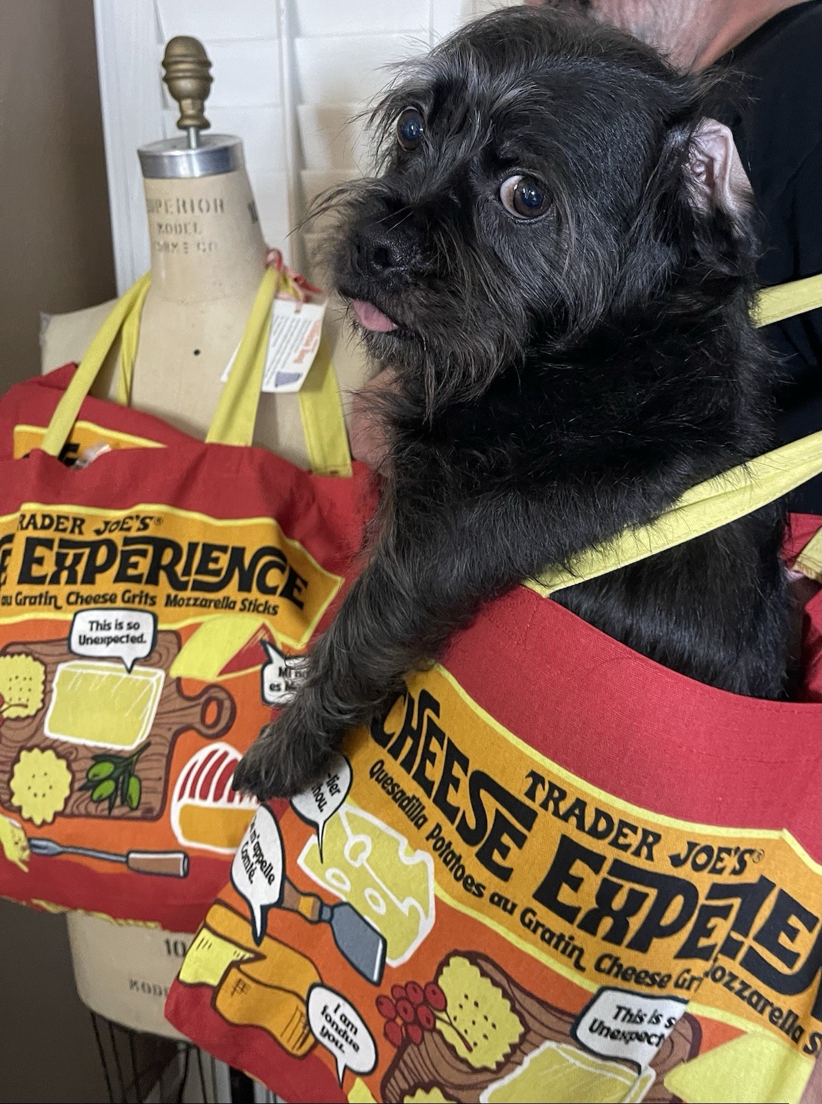 Trader Joe’s Cheese Bag Reusable Cotton Shopping Bag Red Yellow Pop Art Foldable