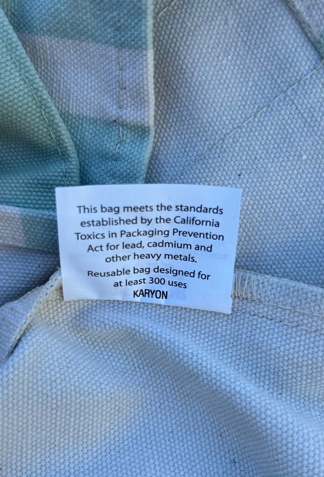 Trader Joe’s mint green/seafoam green mini tote bag