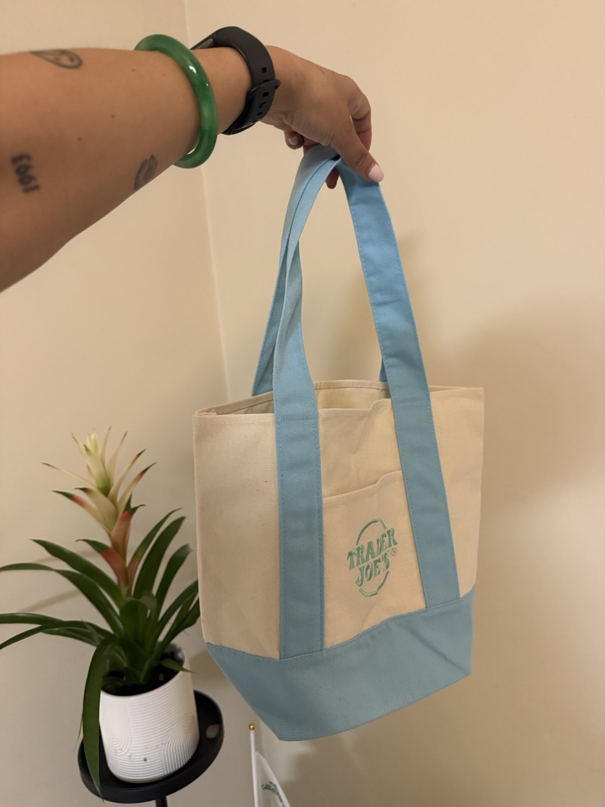 Two Trader Joe’s Mini Totes in Pastel color / Reusable 13x6x10