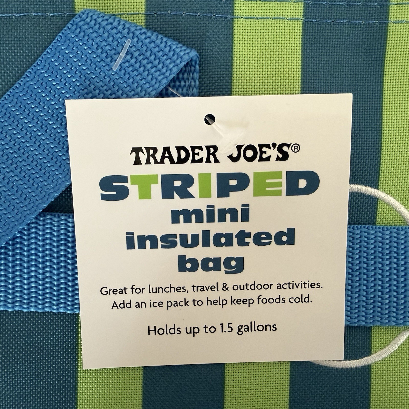 Trader Joe’s 2026 Mini Insulated Lunch Bag Cooler Green Blue Stripe SHIPS TODAY!