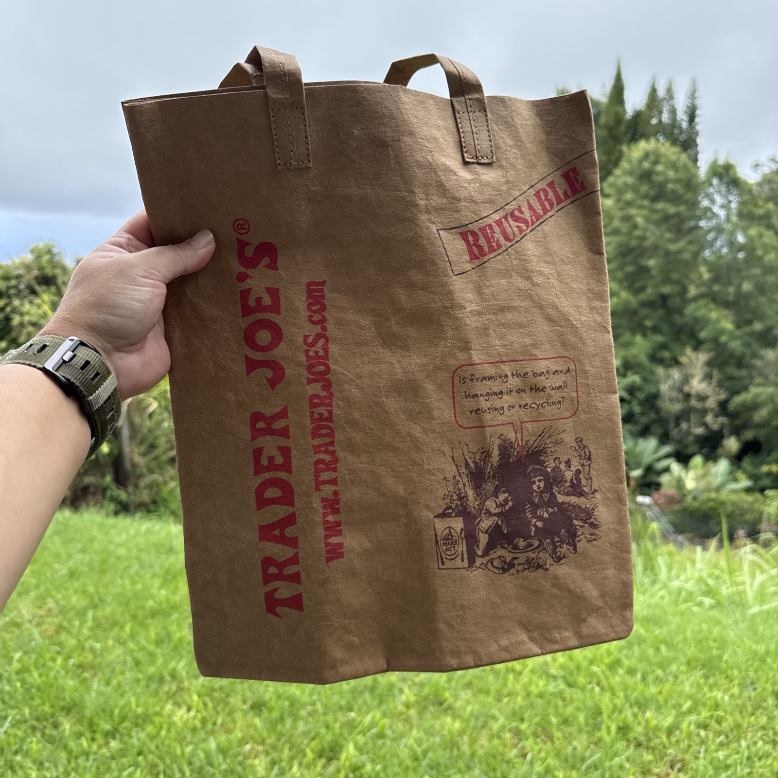 Trader Joe’s Washable Paper Reusable Shopping Bag Brown Medium Foldable Red