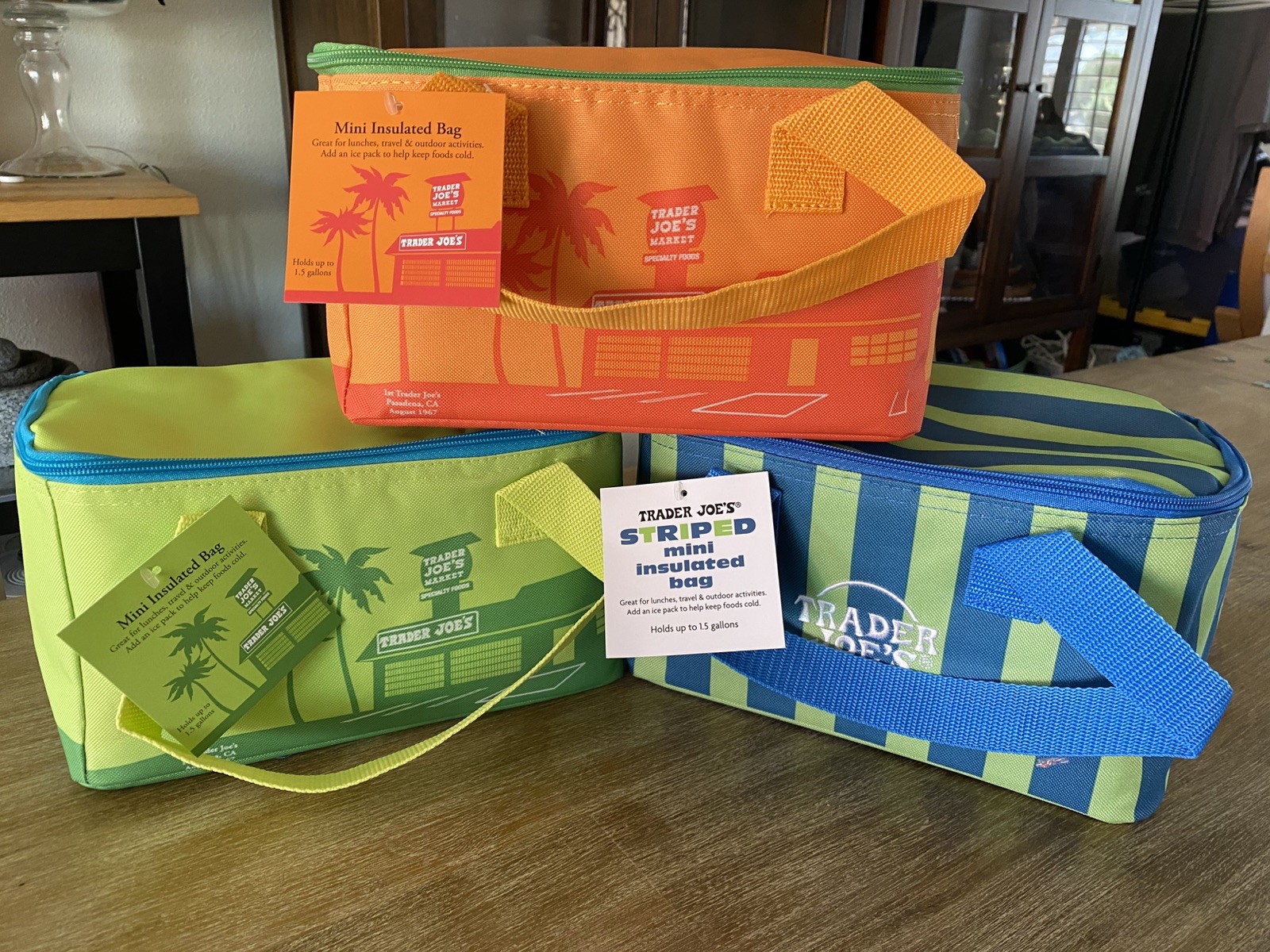 Trader Joe’s Mini Insulated Bag’s • 1.5 Gallon • You Pick Color • NWT