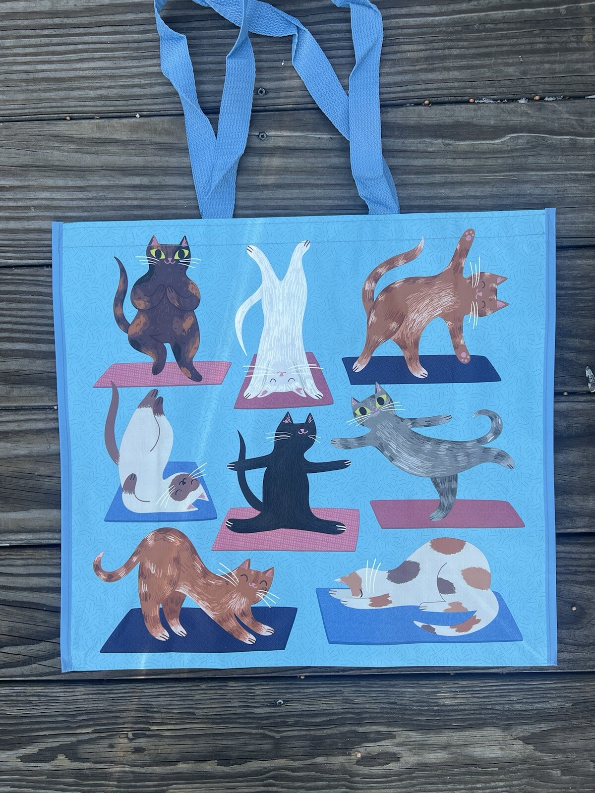 NEW TJX Shopping Bag HAPPY 😊 DANCING CATS Reusable Tote Bag