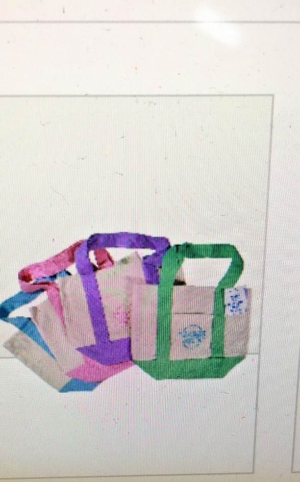 Trader Joe’s Mini Pastel Canvas Tote Bag NWT Blue Green Pink Purple | US Stock