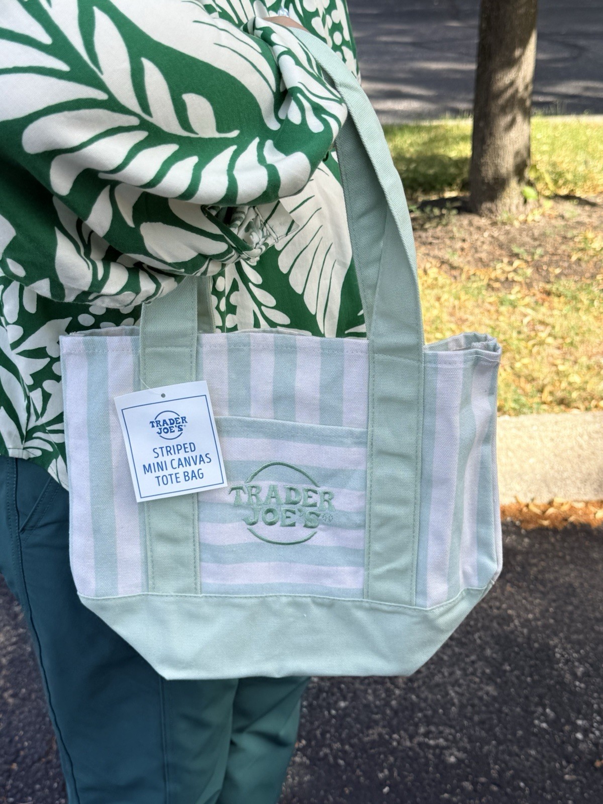 💚 Trader Joe’s Seafoam Green Striped Mini Canvas Tote Bag NWT 🚚 FAST SHIP!