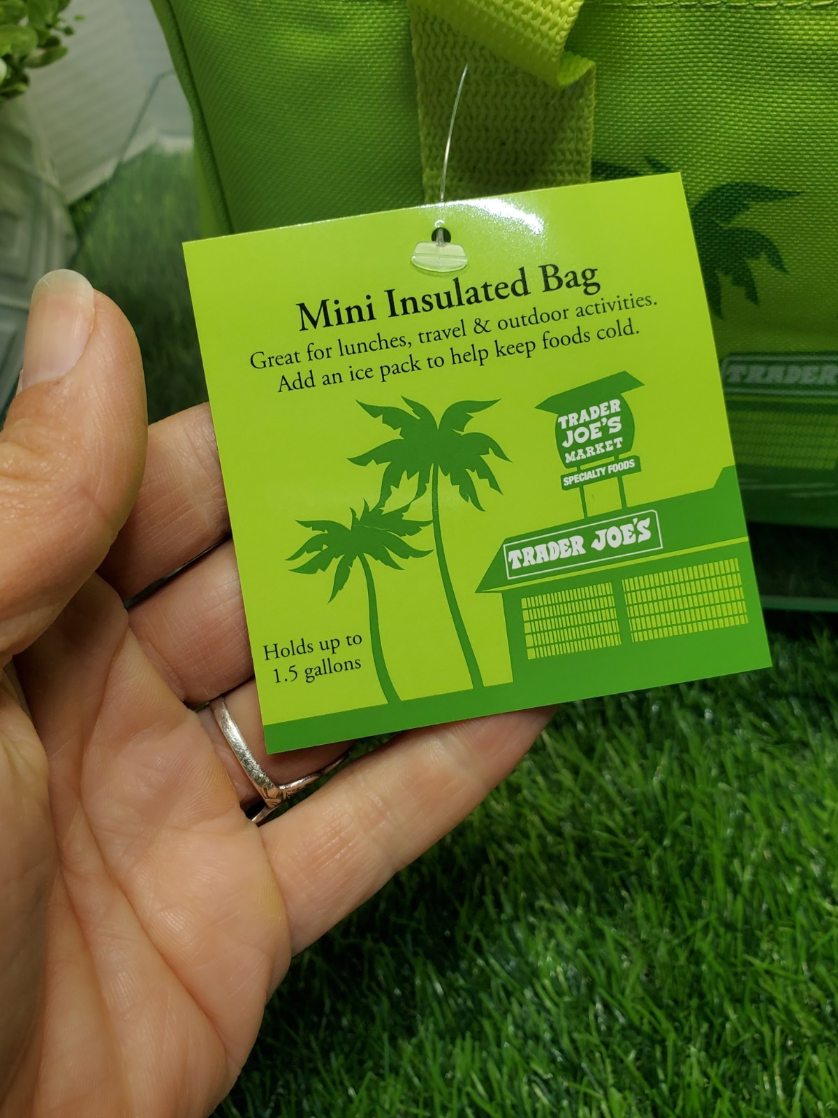Trader Joe’s Summer 2026 Mini Insulated Tote Bag Palm Green 1.5 Gallons 🟢🌴NEW