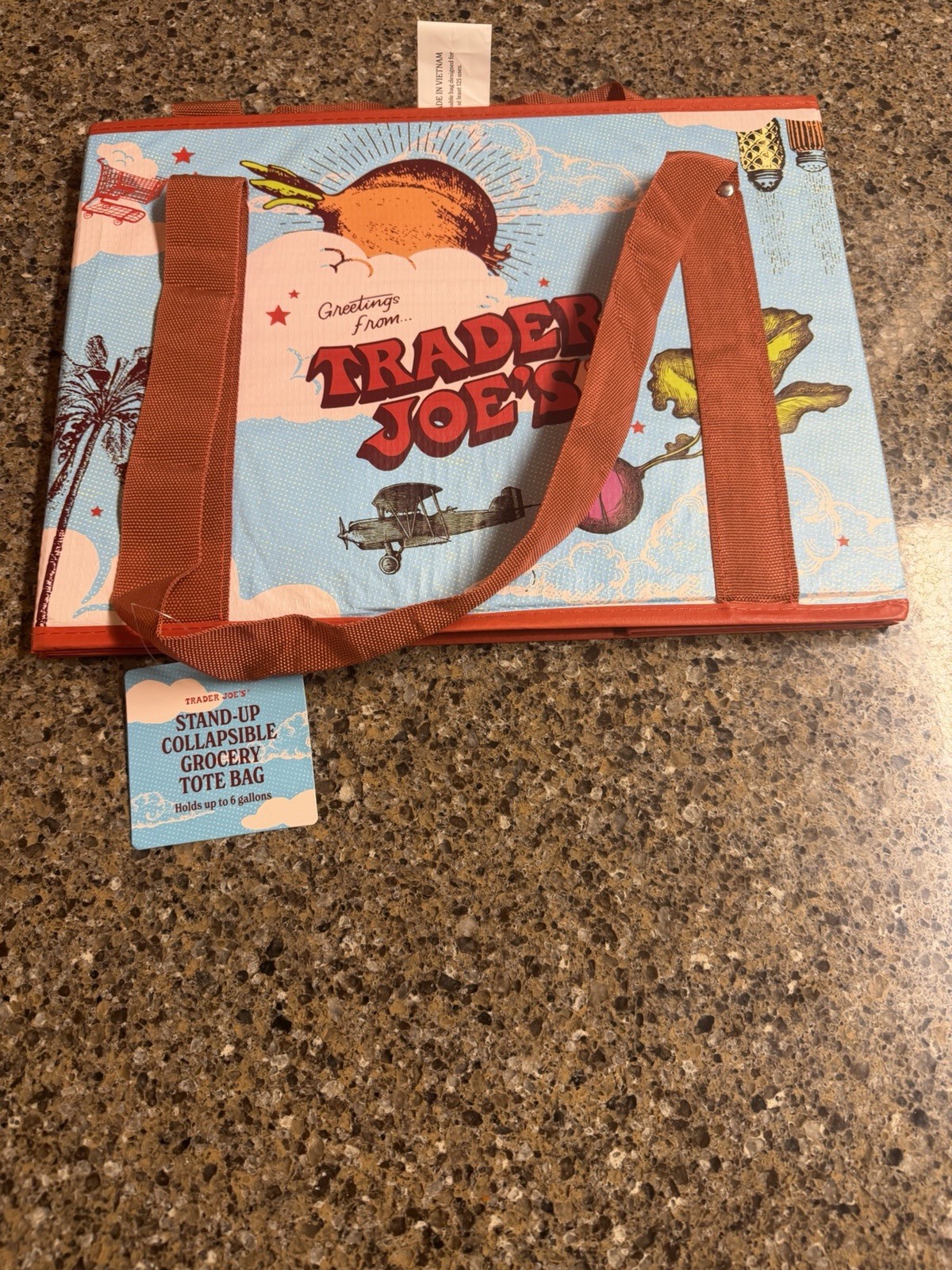 Trader Joe’s Collapsible Stand-Up Grocery Tote Bag Multicolor 6 Gal 15×9.5×11 in
