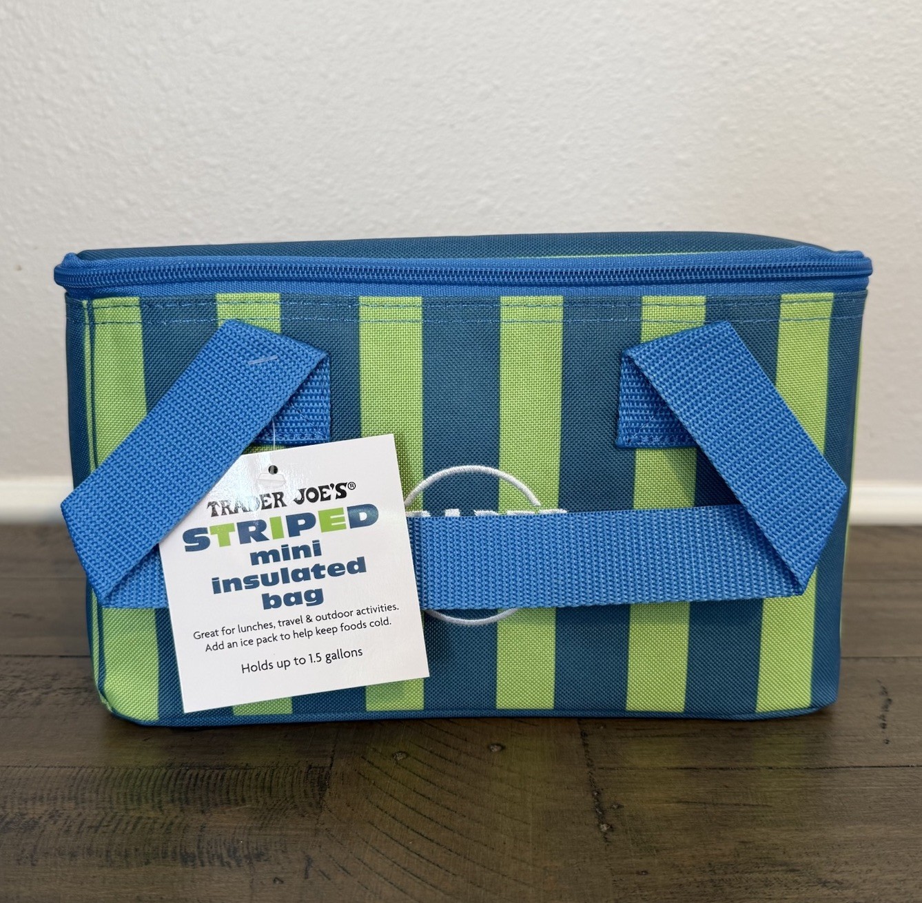 Trader Joe’s 2026 Mini Insulated Lunch Bag Cooler Green Blue Stripe SHIPS TODAY!