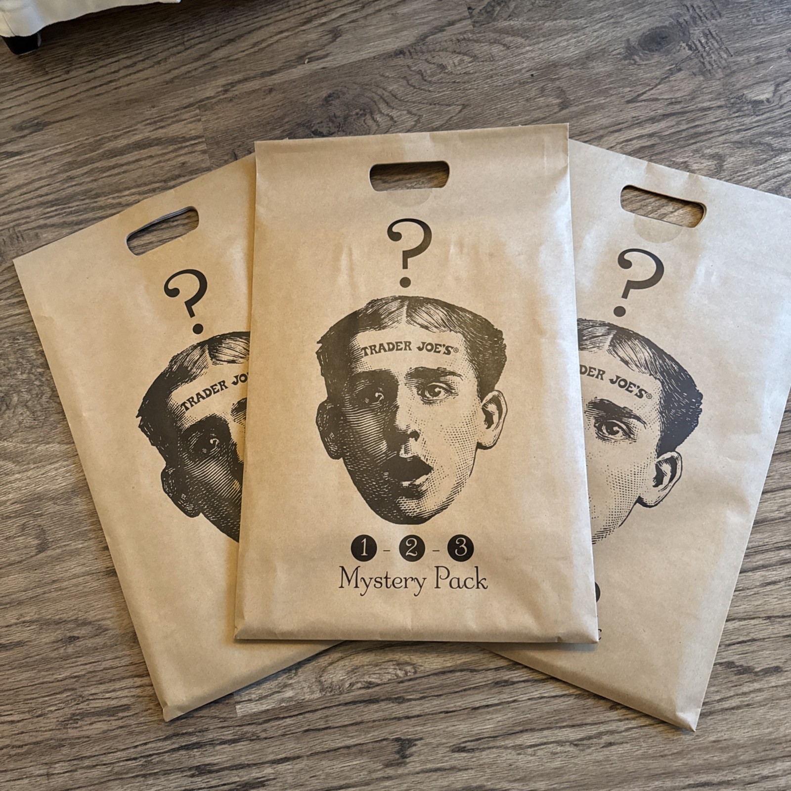 (Lot of 3) Trader Joe’s 2025 “Mystery Packs” 9 Total Bags from Around the U.S.A