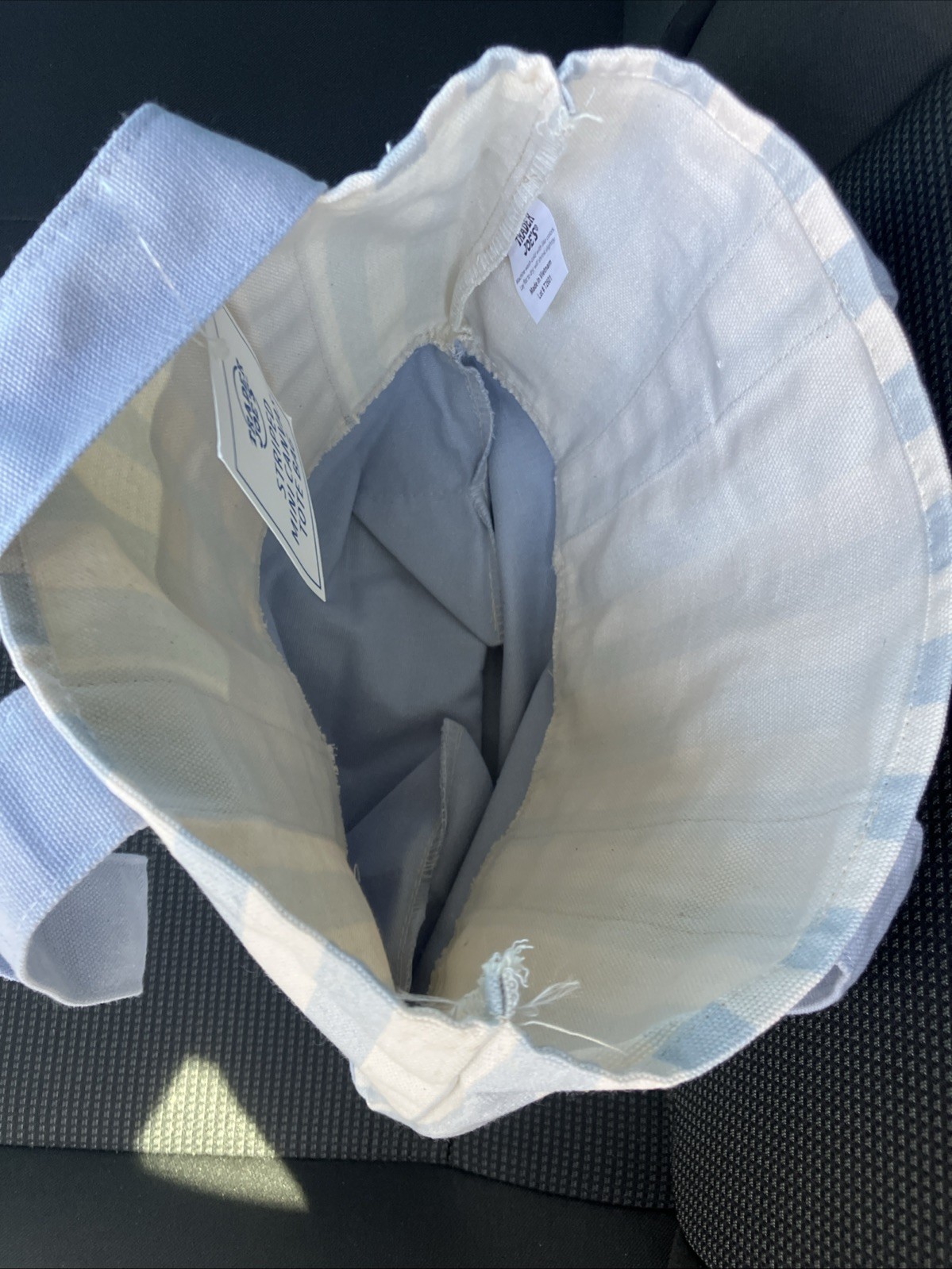 TRADER JOE’S 2026 Mini Stripe Canvas Tote Bag BLUE stripes. NEXT DAY SHIPPING