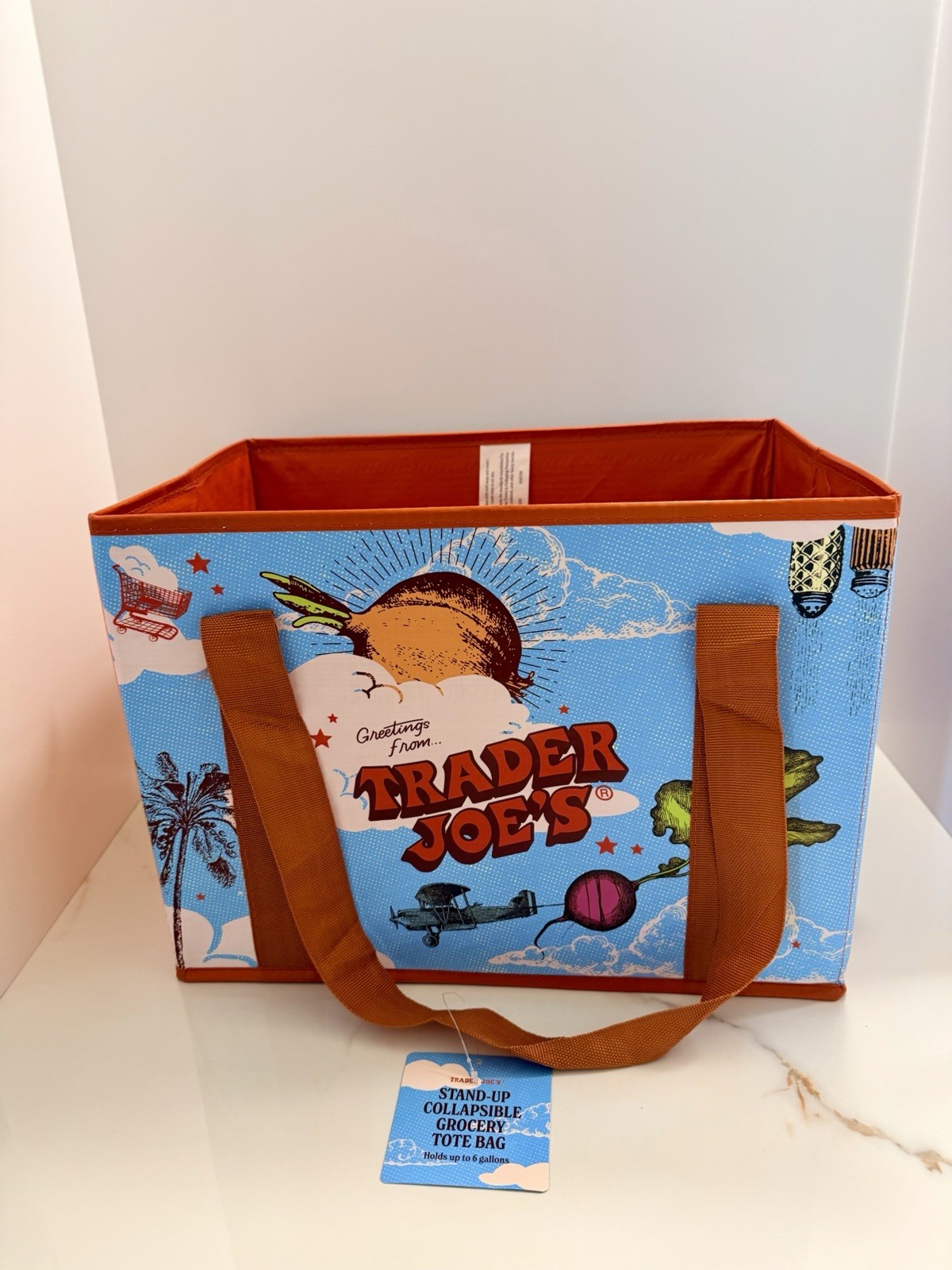 Trader Joe’s Stand-Up Collapsible Grocery Tote Bag