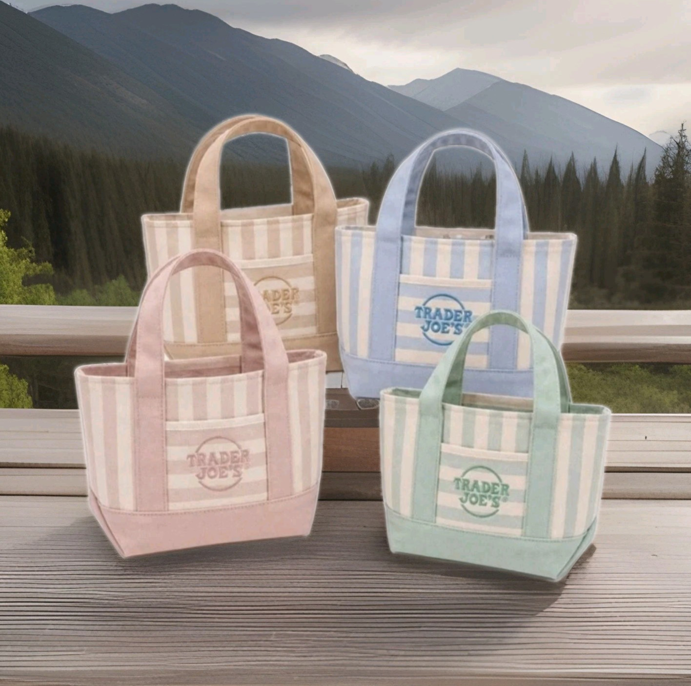 Trader Joe’s Striped Mini Canvas Tote Bag Set of 4 13x10x6 Inches (NEW)